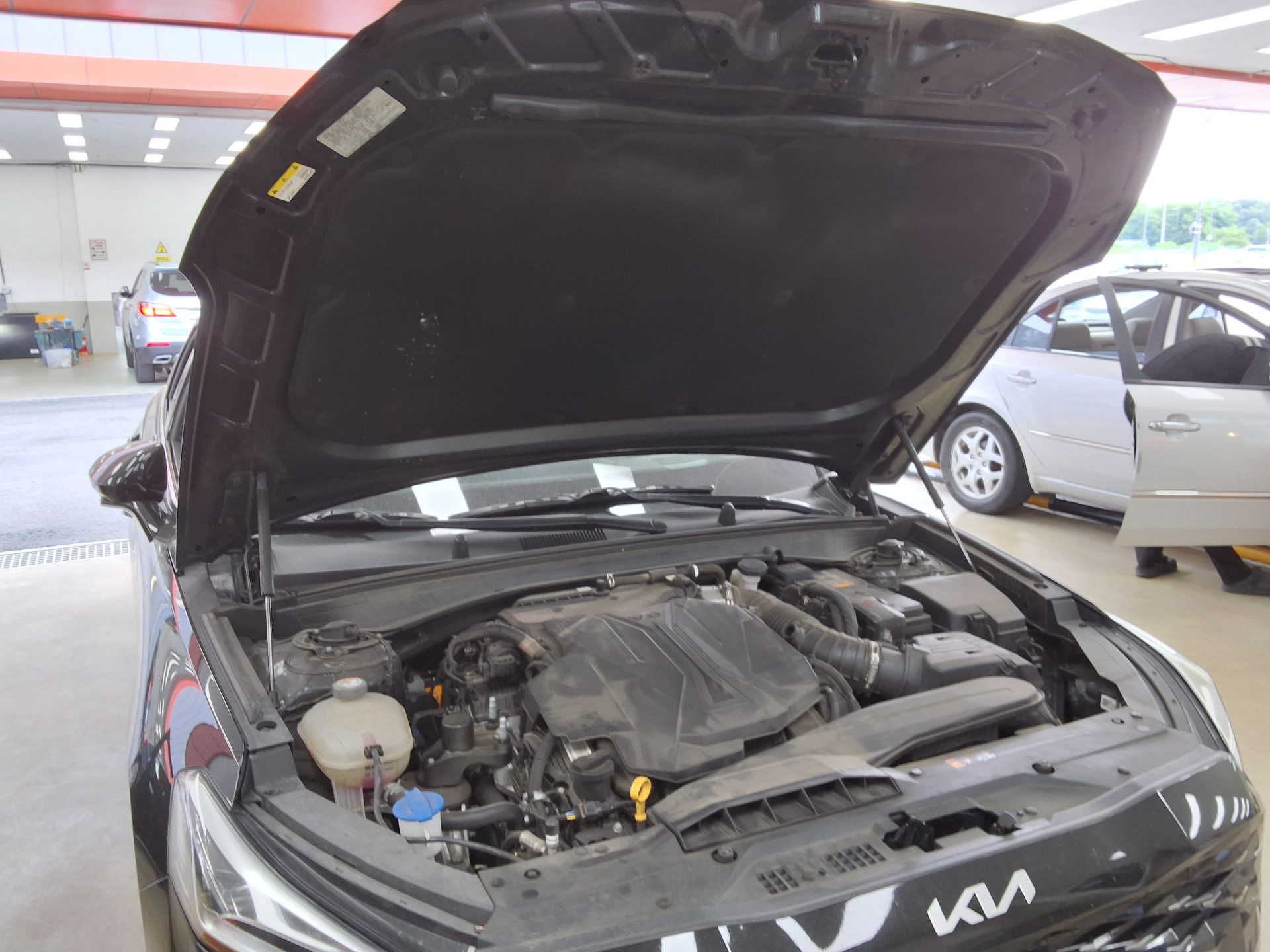 2022 - kia k8