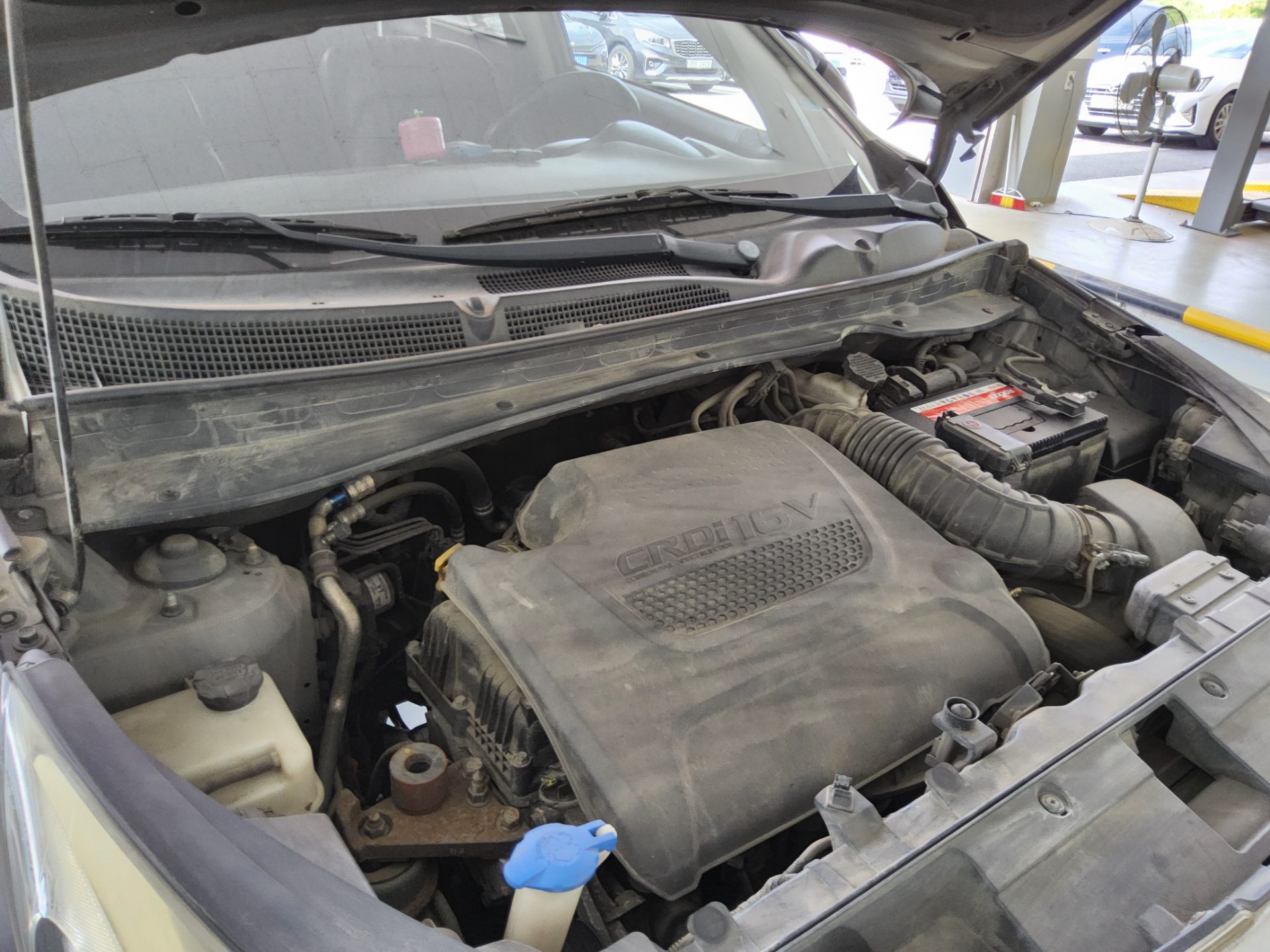 2011 - kia sportage