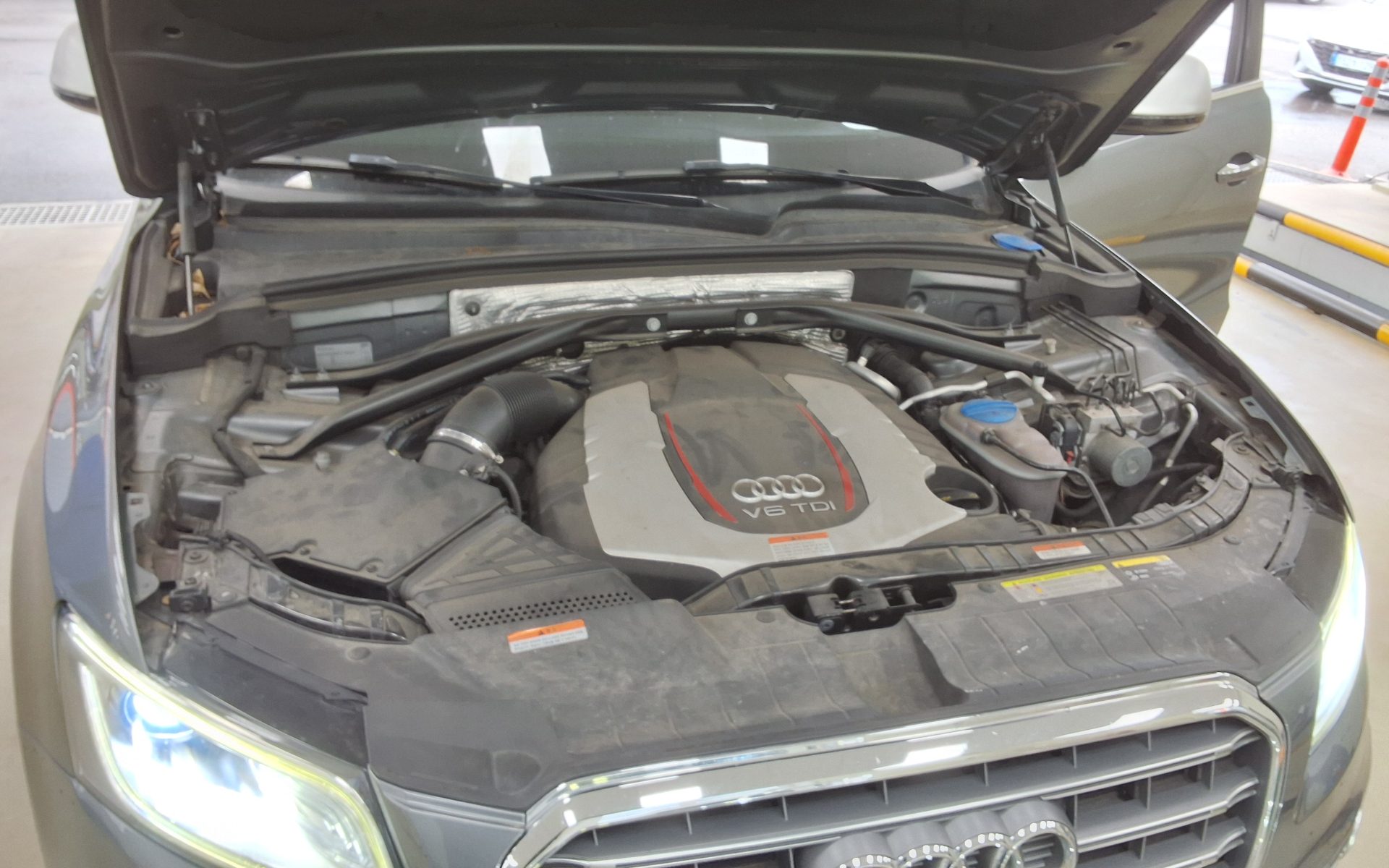 2015 - audi sq5
