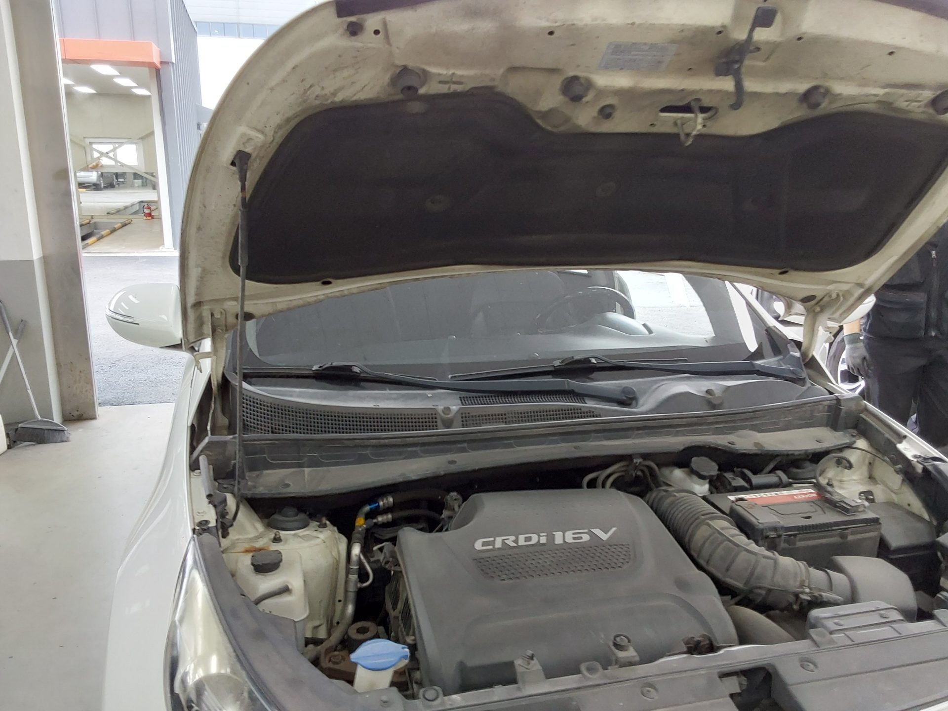 2014 - kia sportage