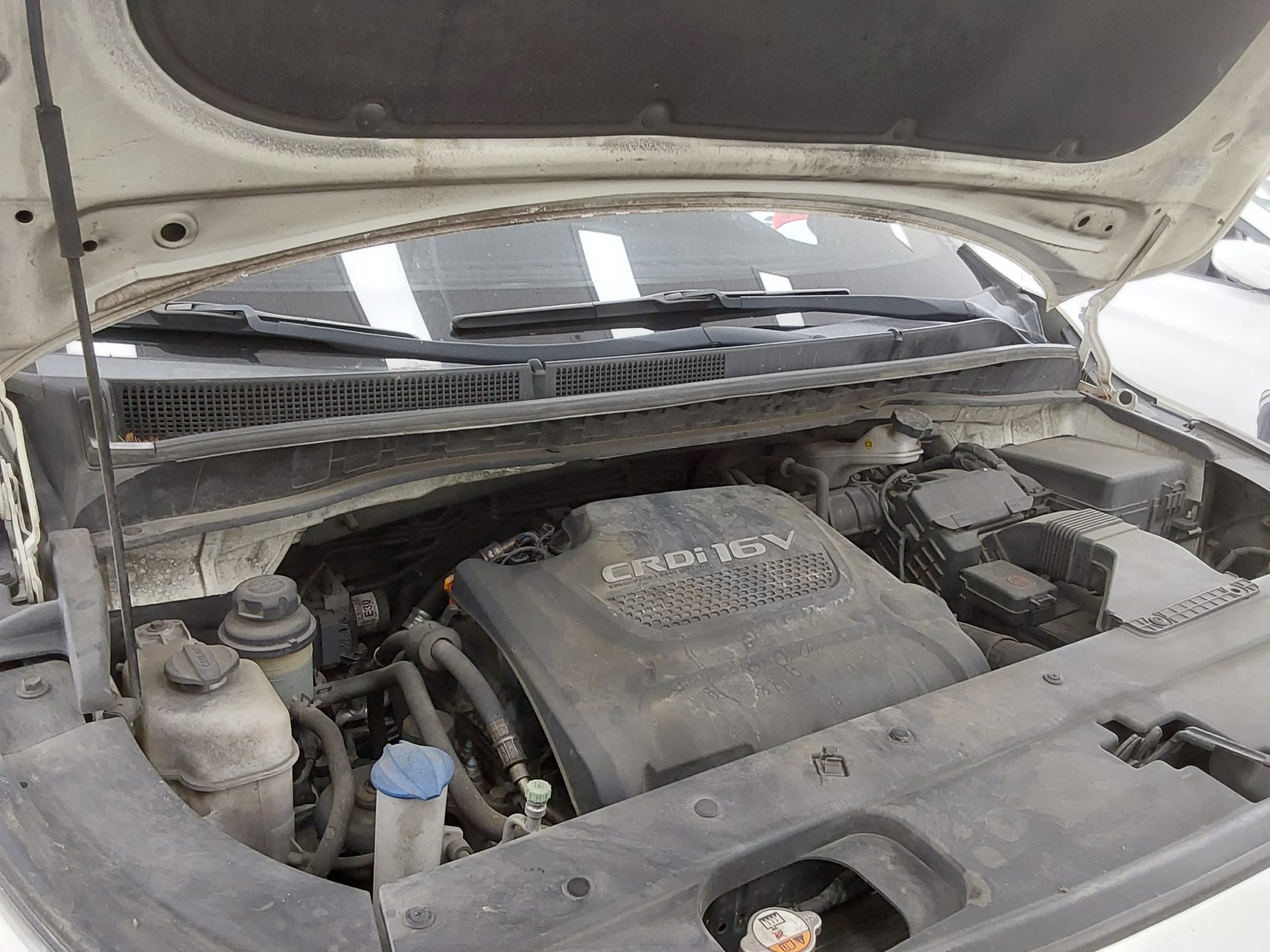 2015 - kia carnival