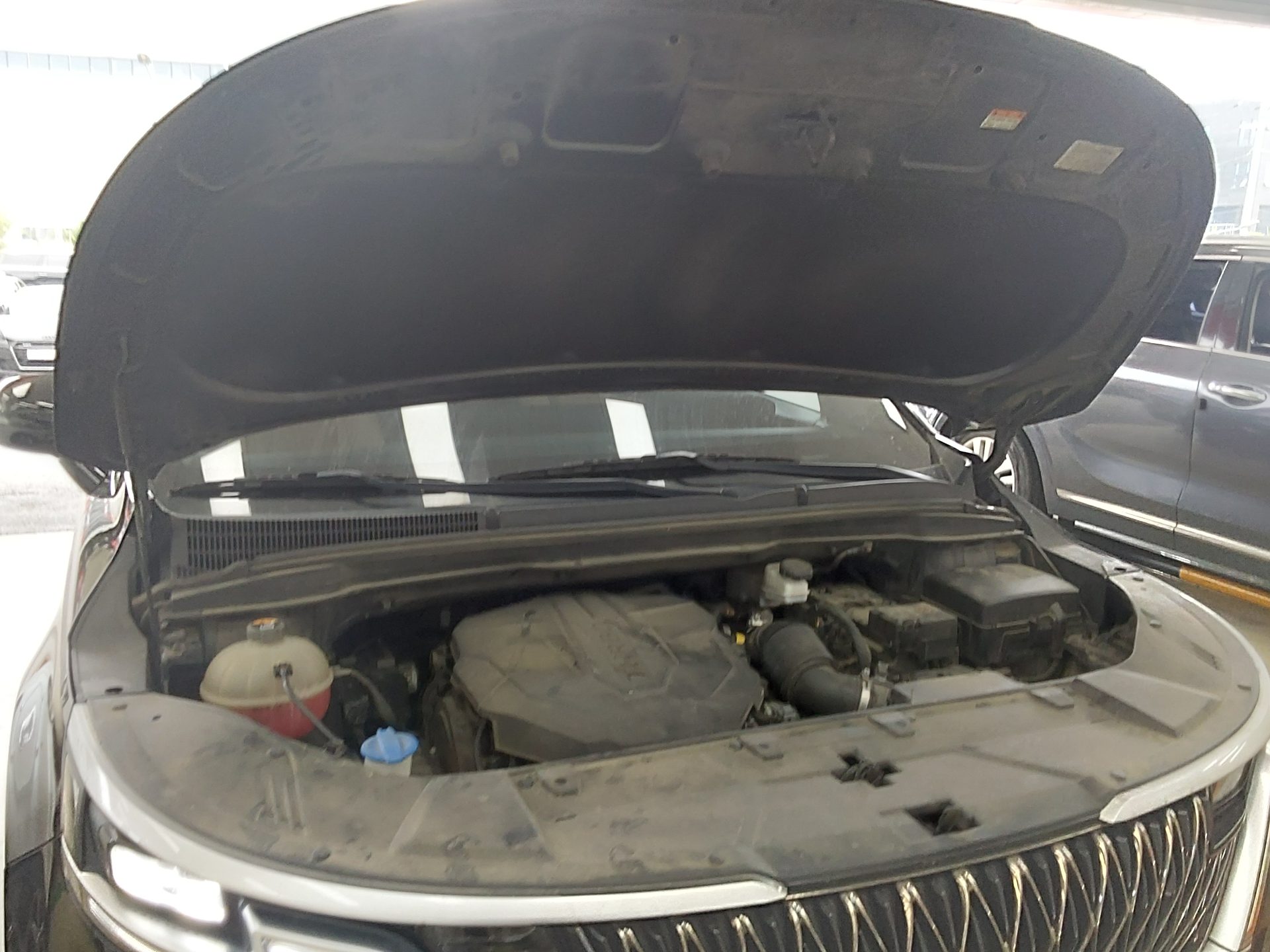 2021 - kia carnival