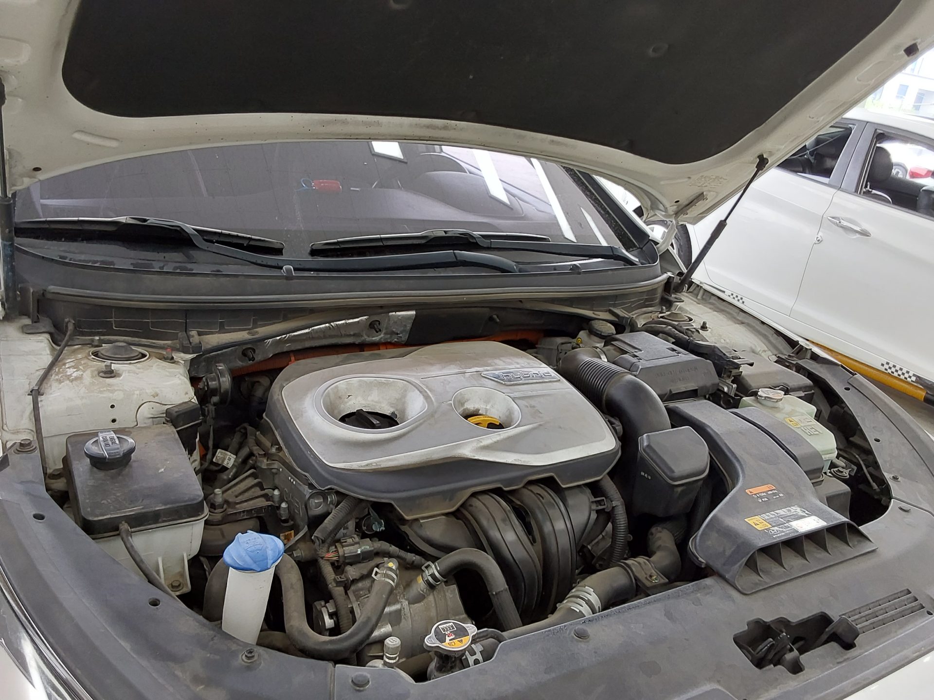 2019 - hyundai sonata