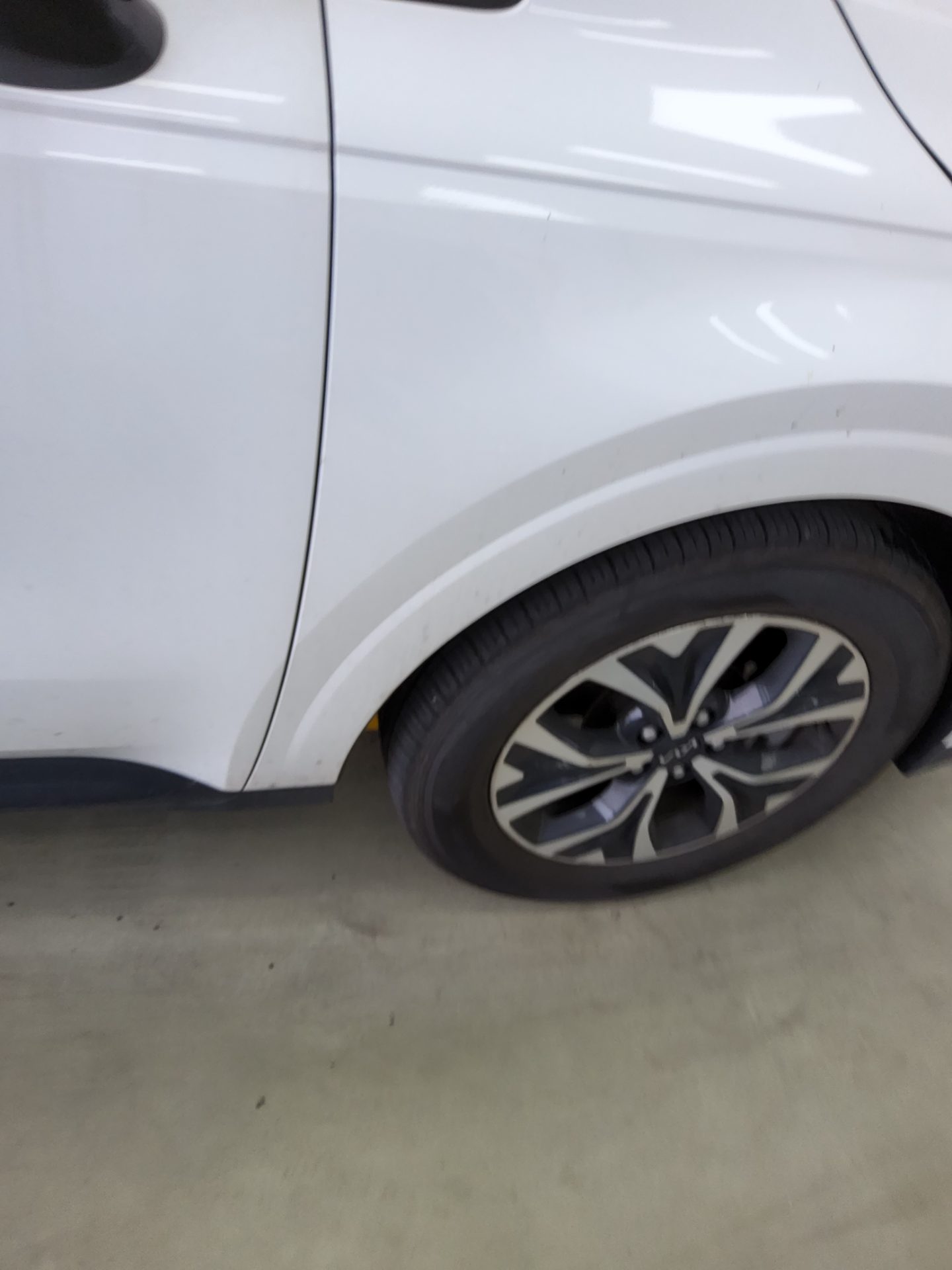 2023 - kia carnival