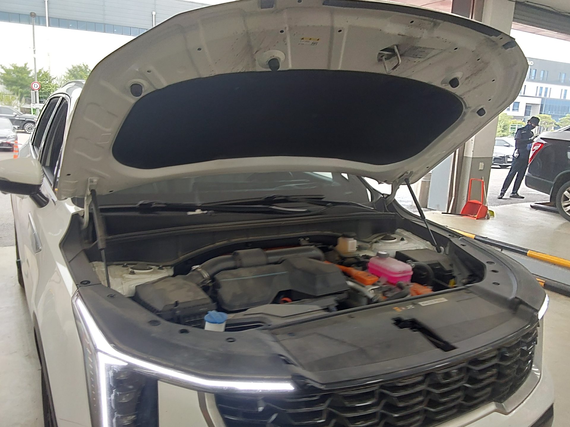 2024 - kia sorento