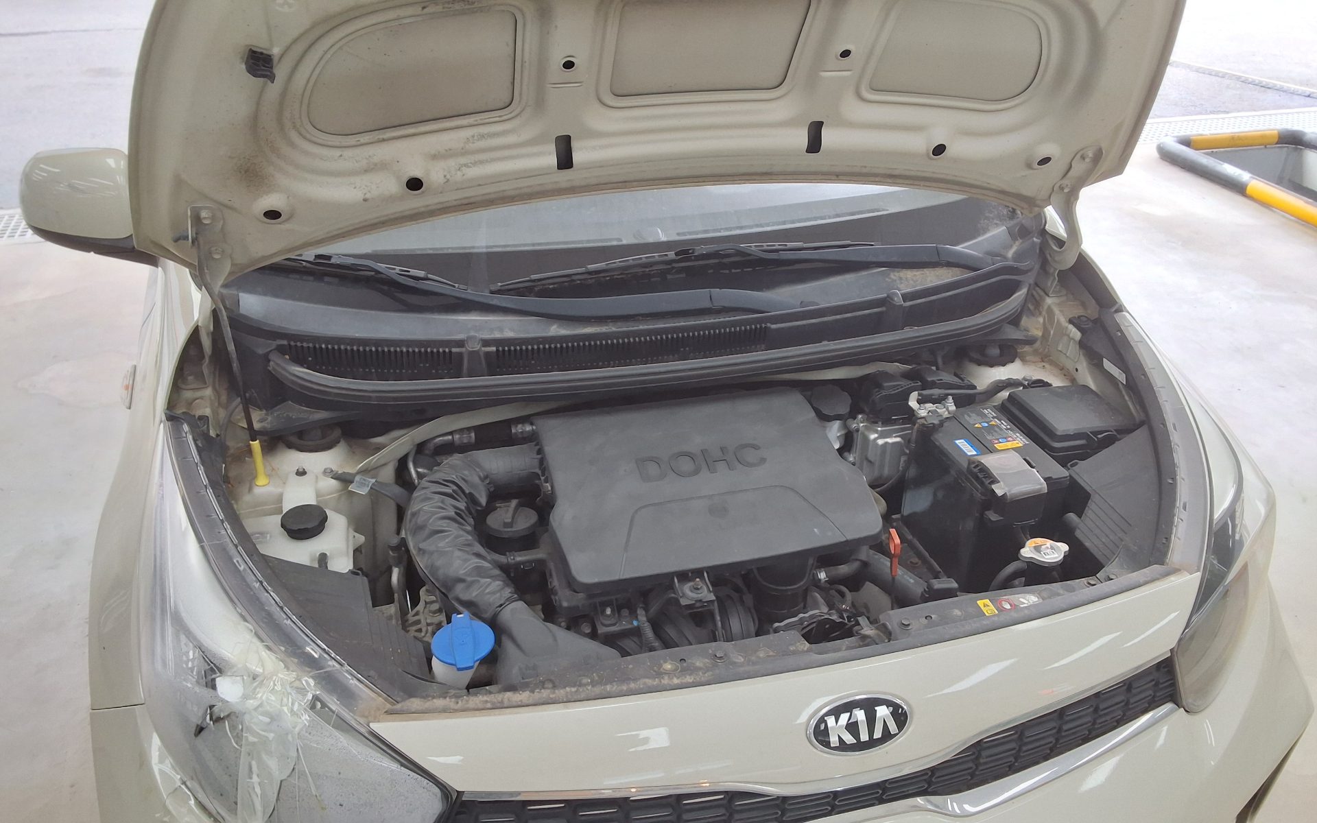 2019 - kia morning