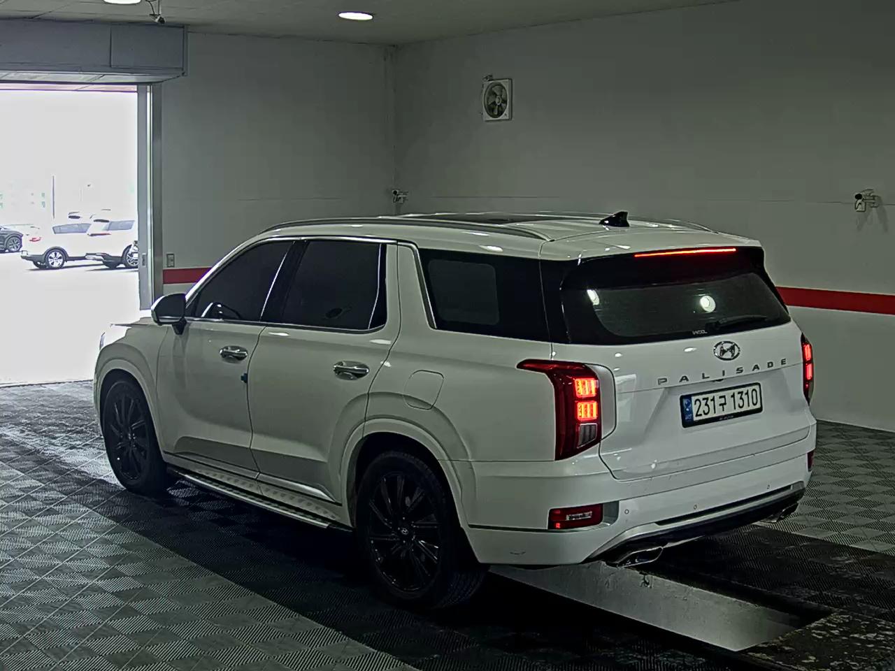 2021 - hyundai palisade