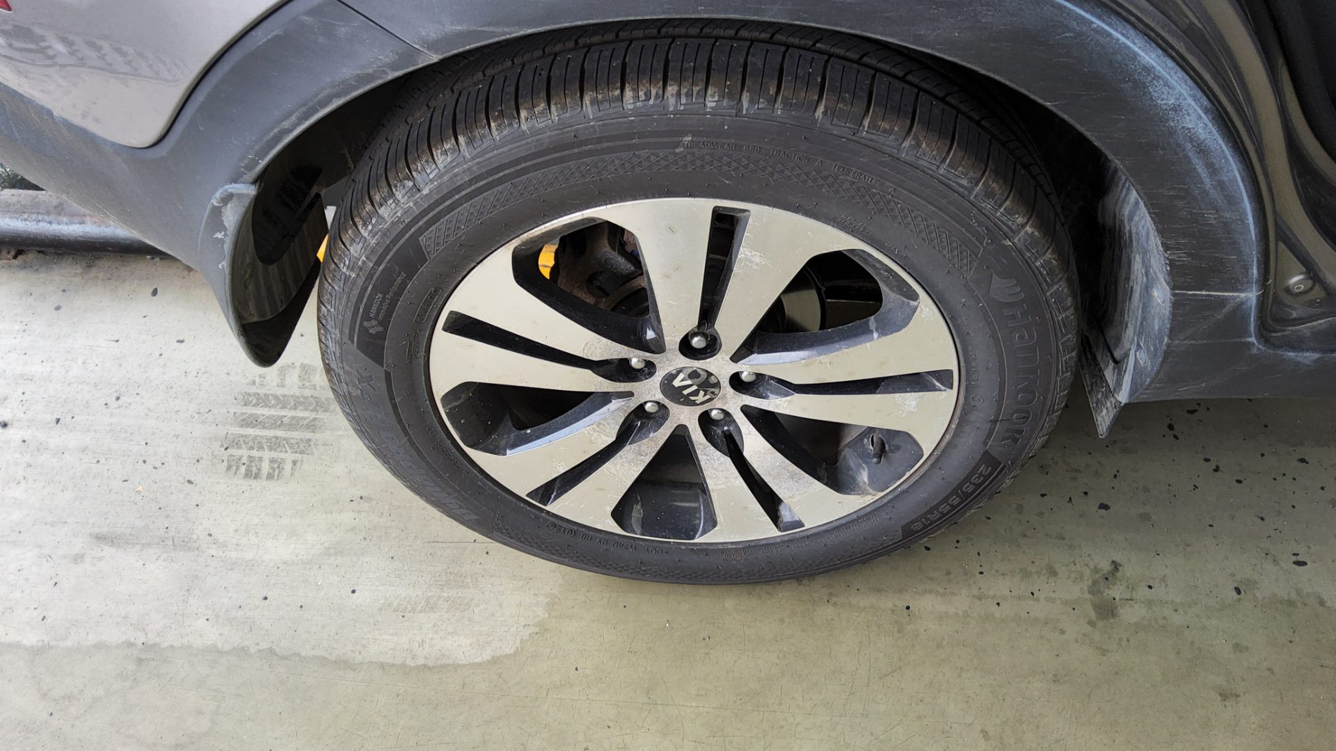 2013 - kia sportage