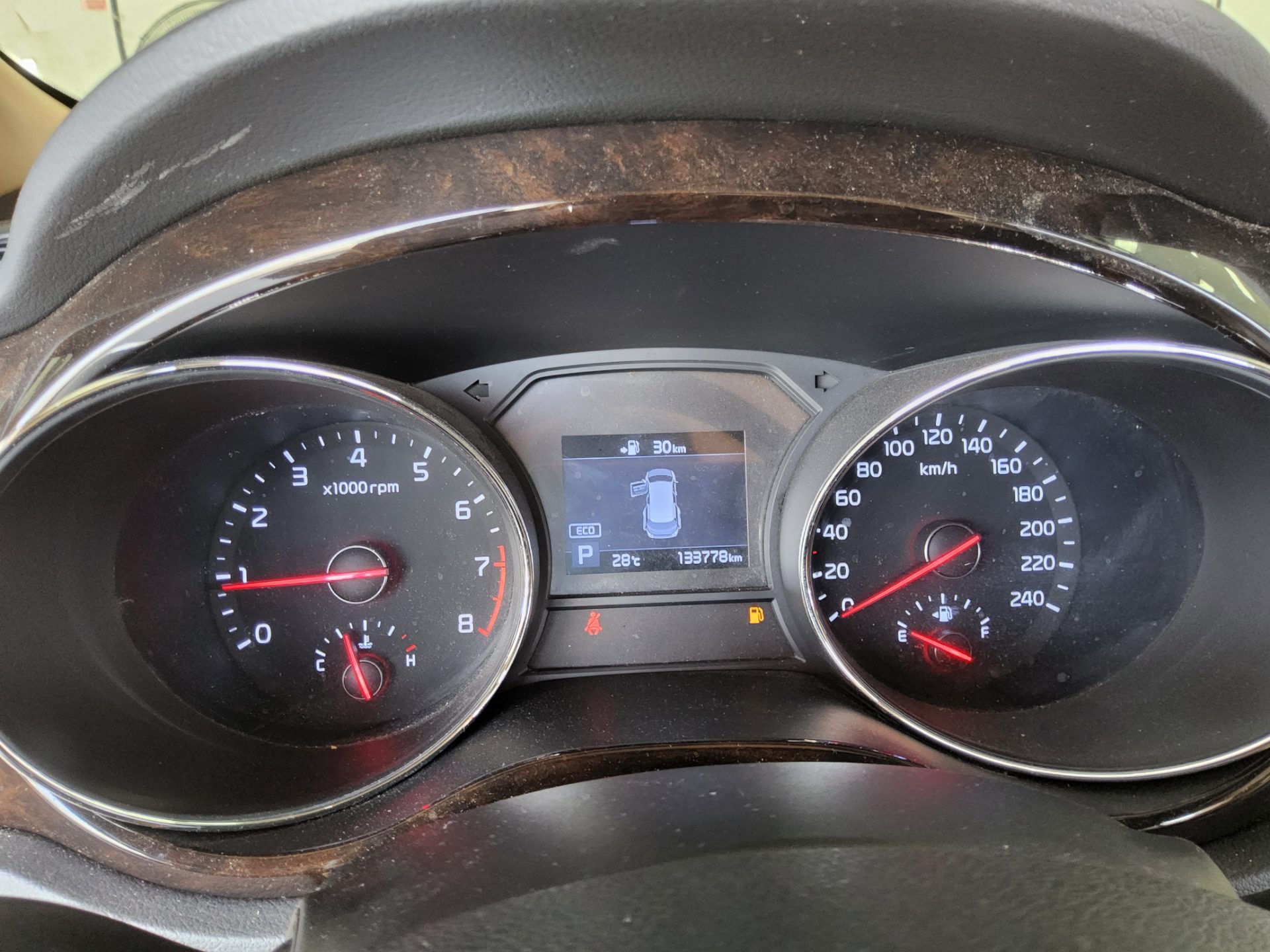 2019 - kia carnival