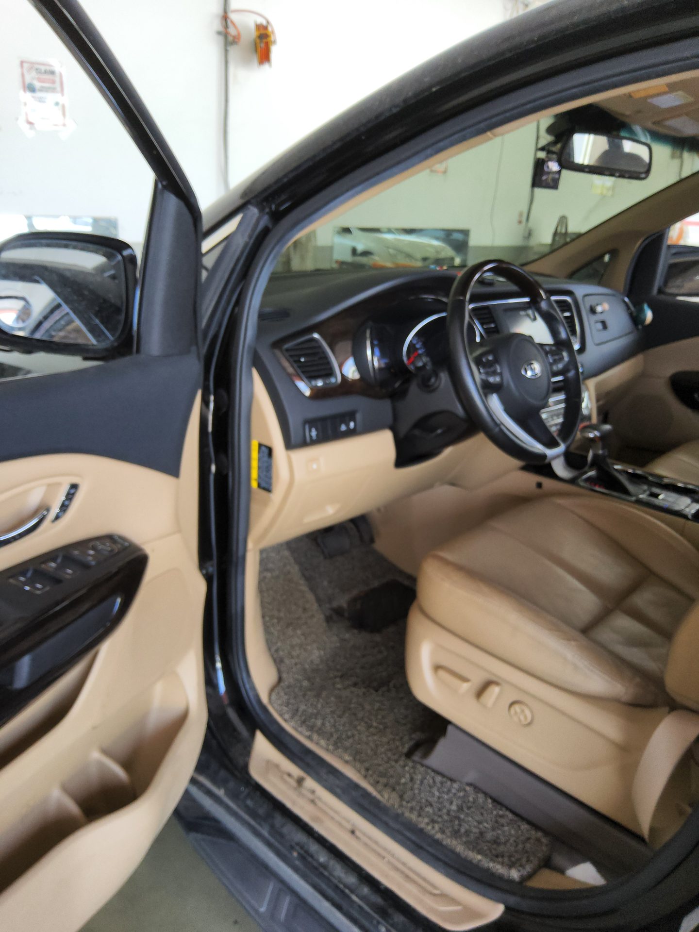 2019 - kia carnival