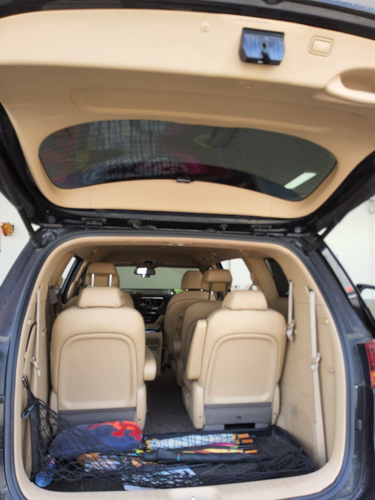 2019 - kia carnival