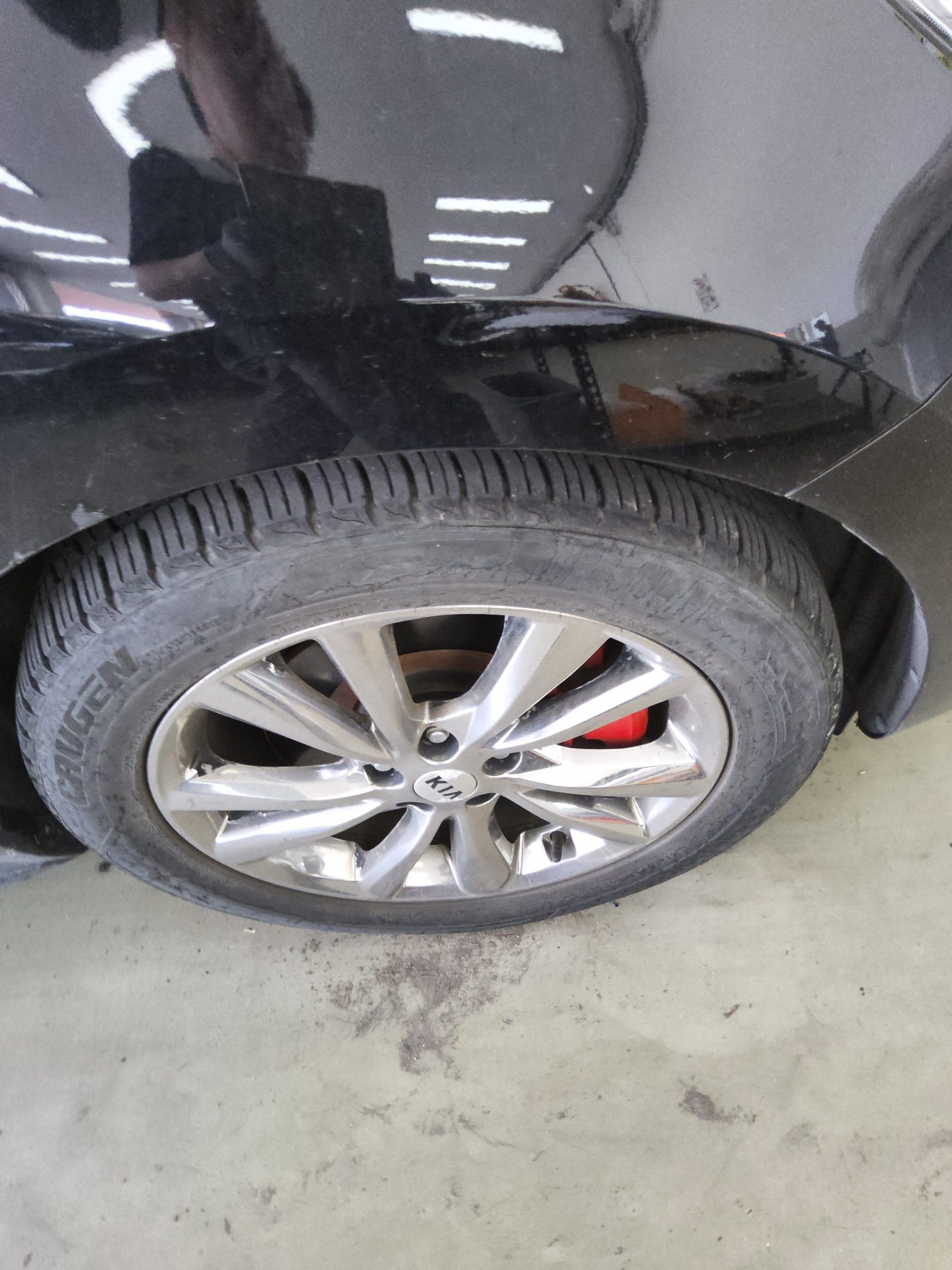 2019 - kia carnival