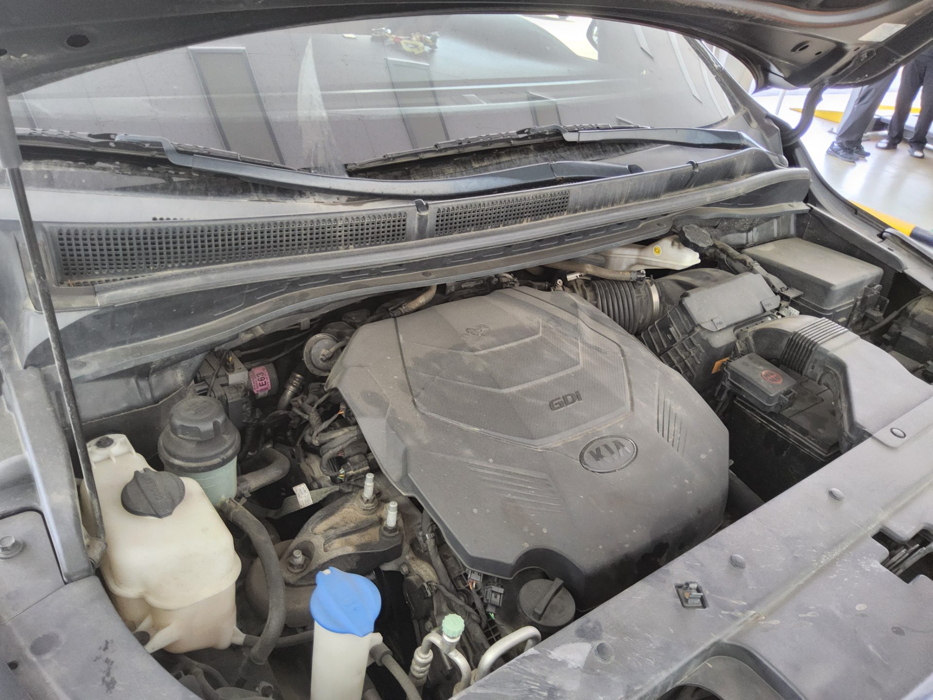 2019 - kia carnival
