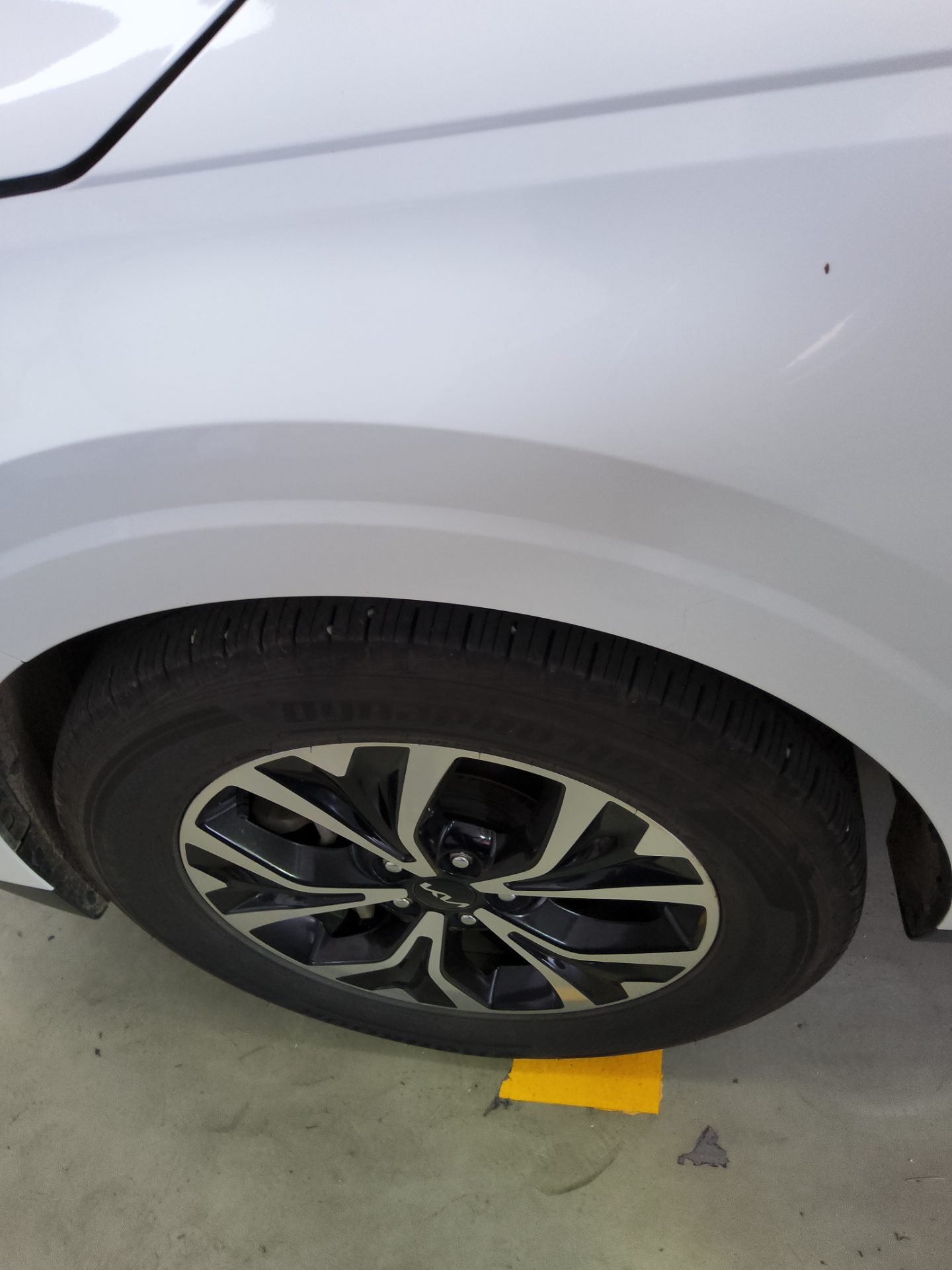2023 - kia carnival