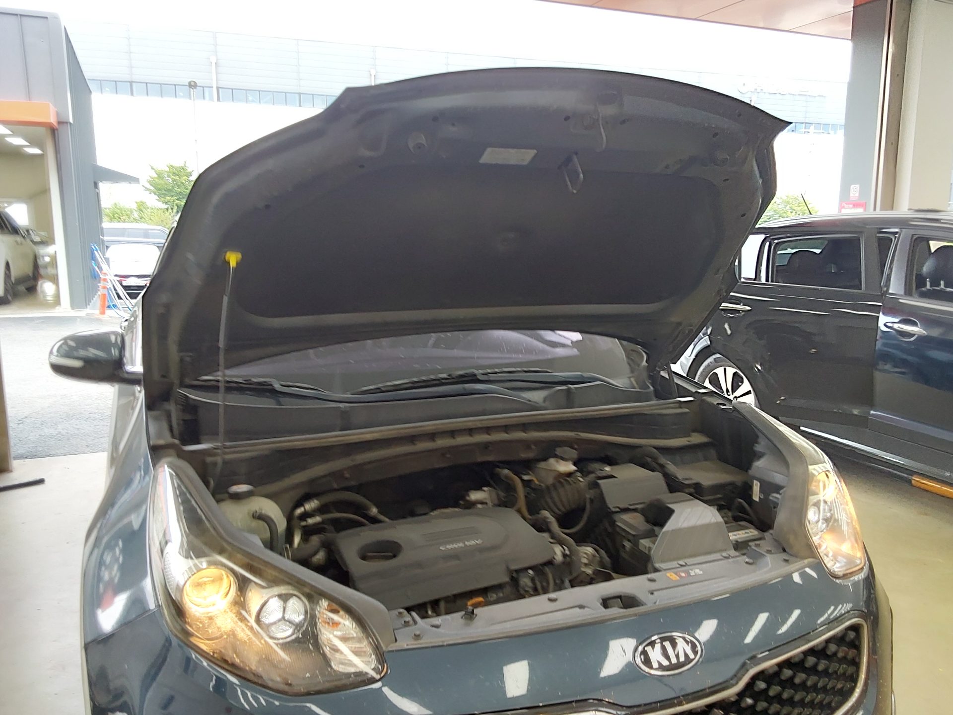 2016 - kia sportage