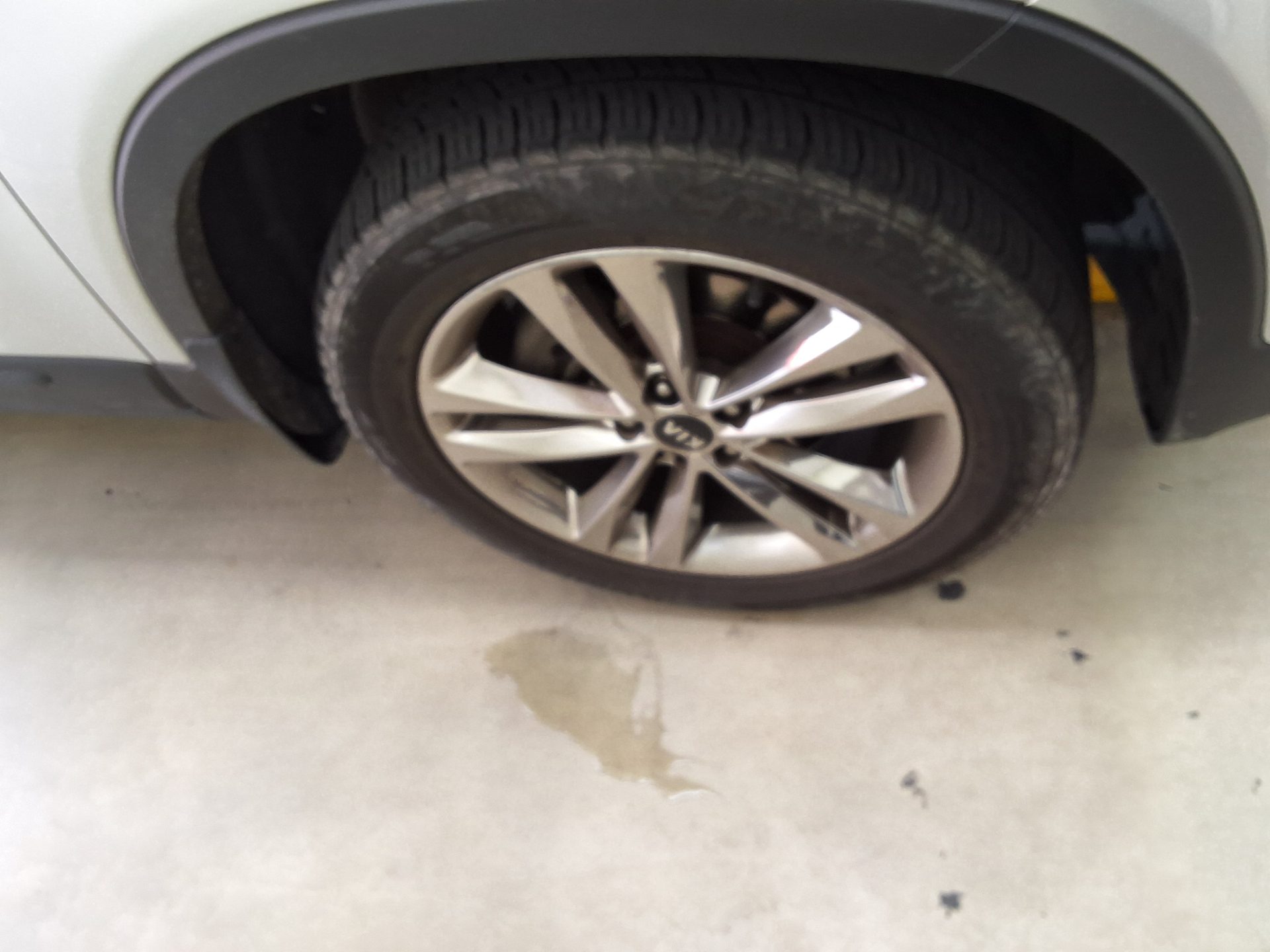 2014 - kia sorento