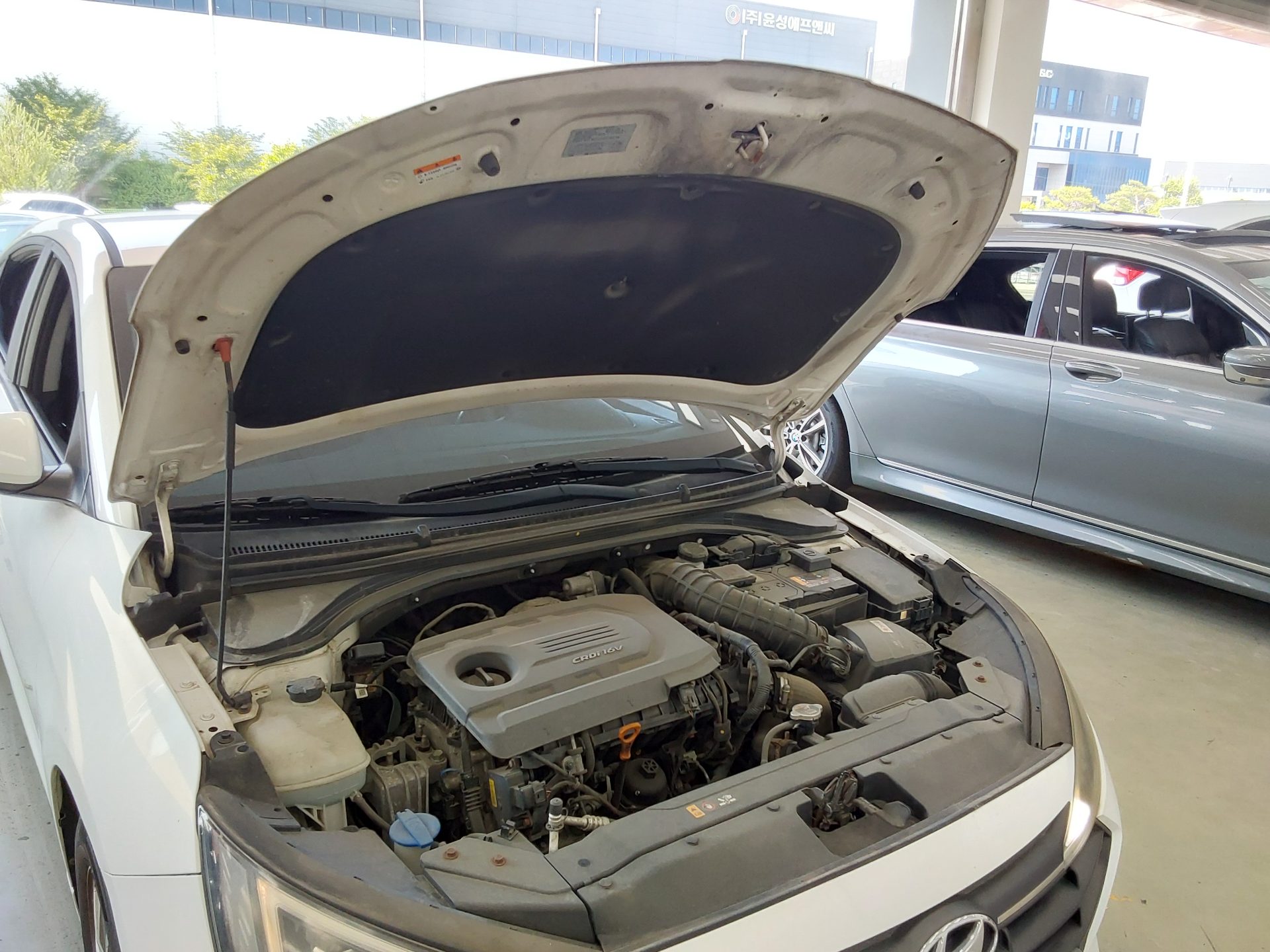 2019 - hyundai avante
