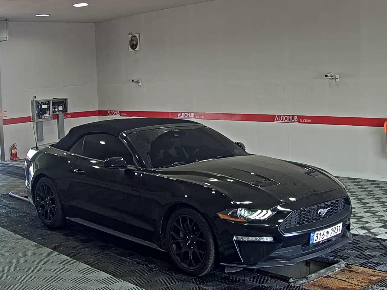 2021 - ford mustang