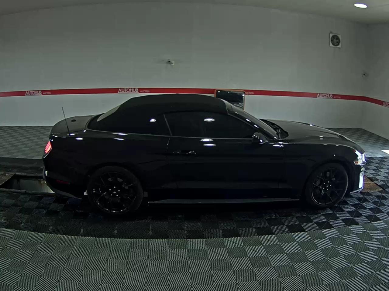 2021 - ford mustang