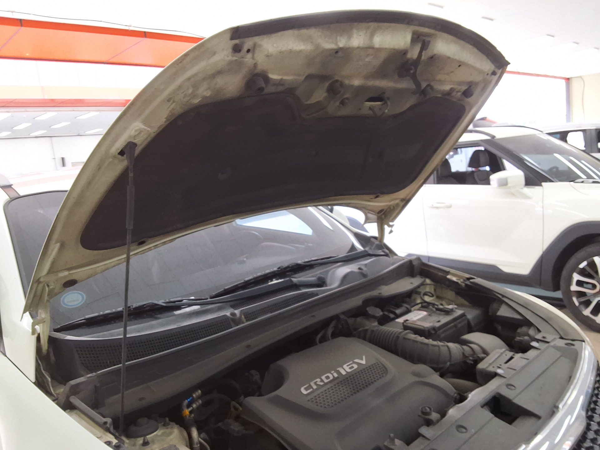 2014 - kia sportage