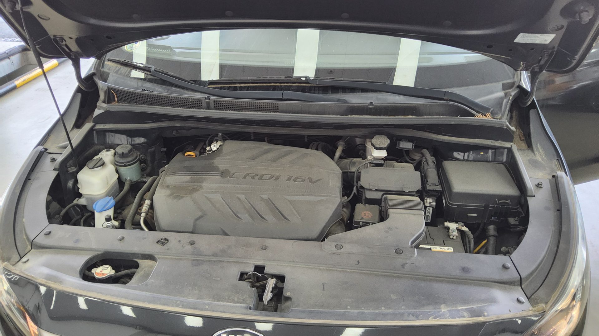 2019 - kia carnival