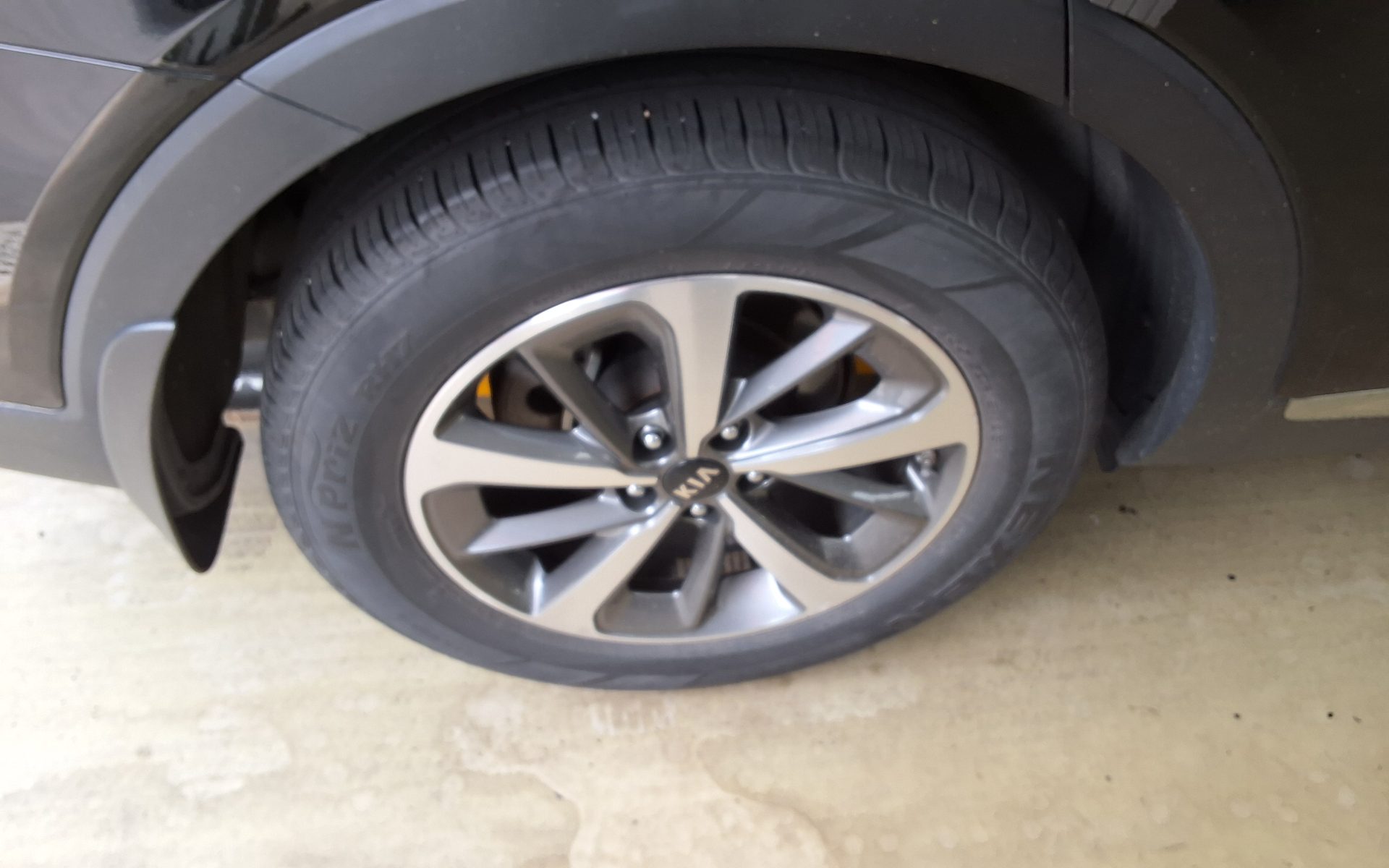 2019 - kia sorento