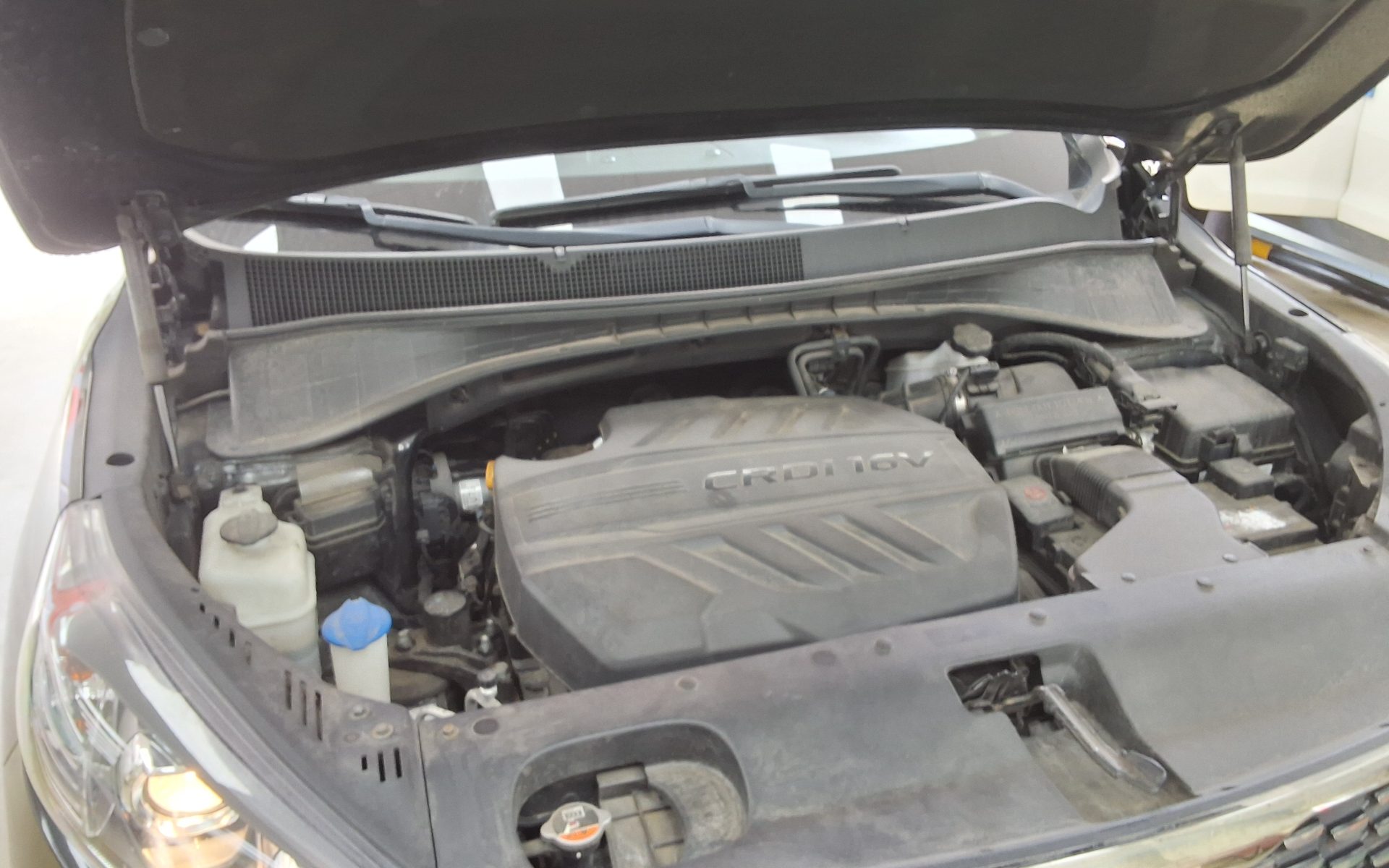 2019 - kia sorento