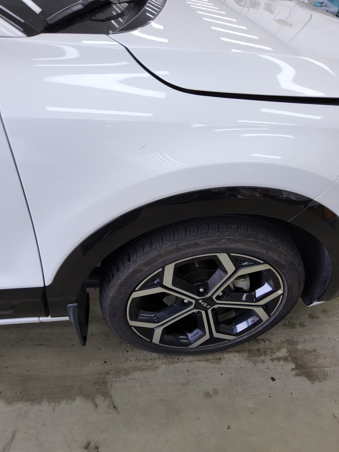 2024 - kia niro