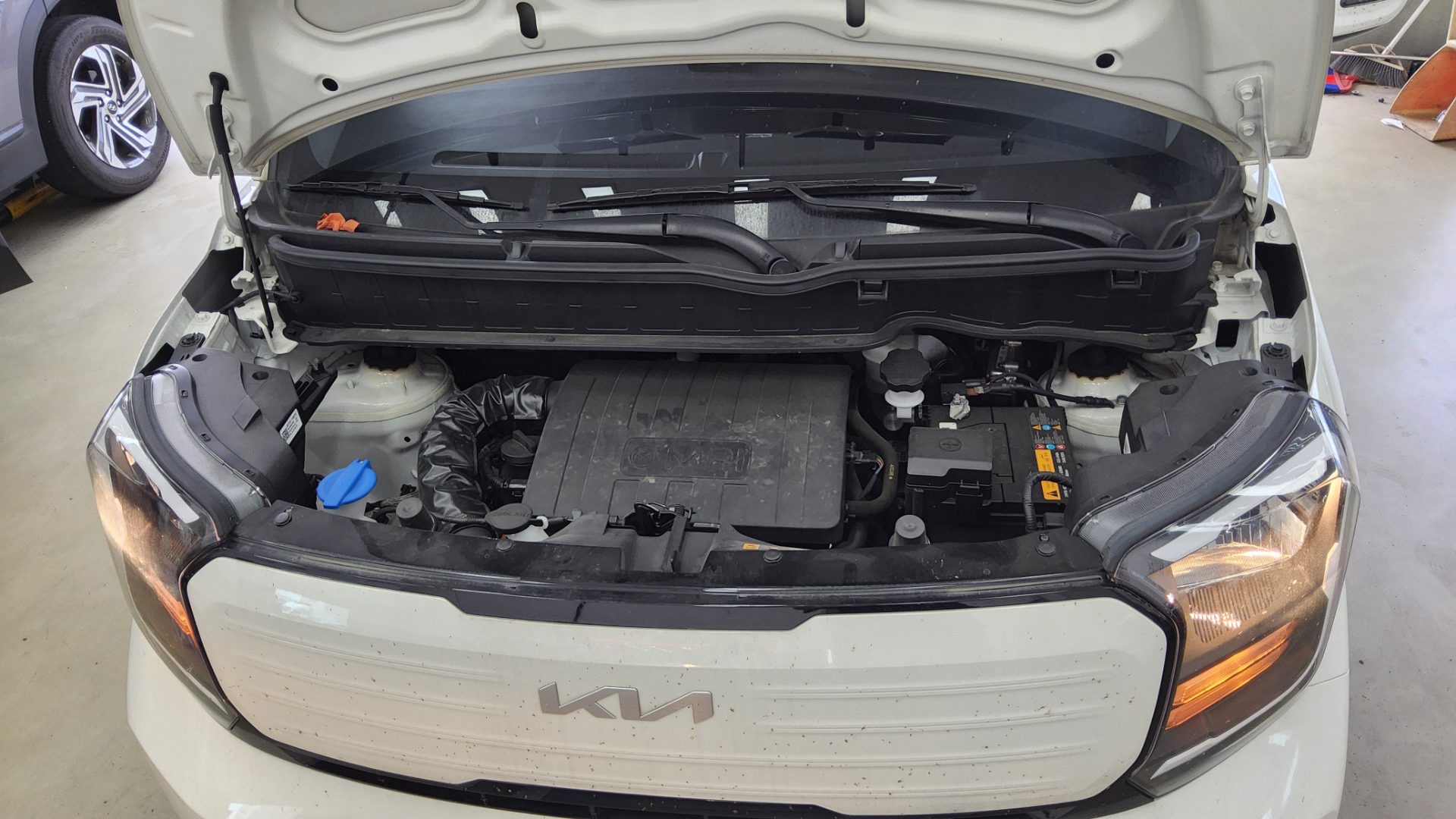 2023 - kia ray
