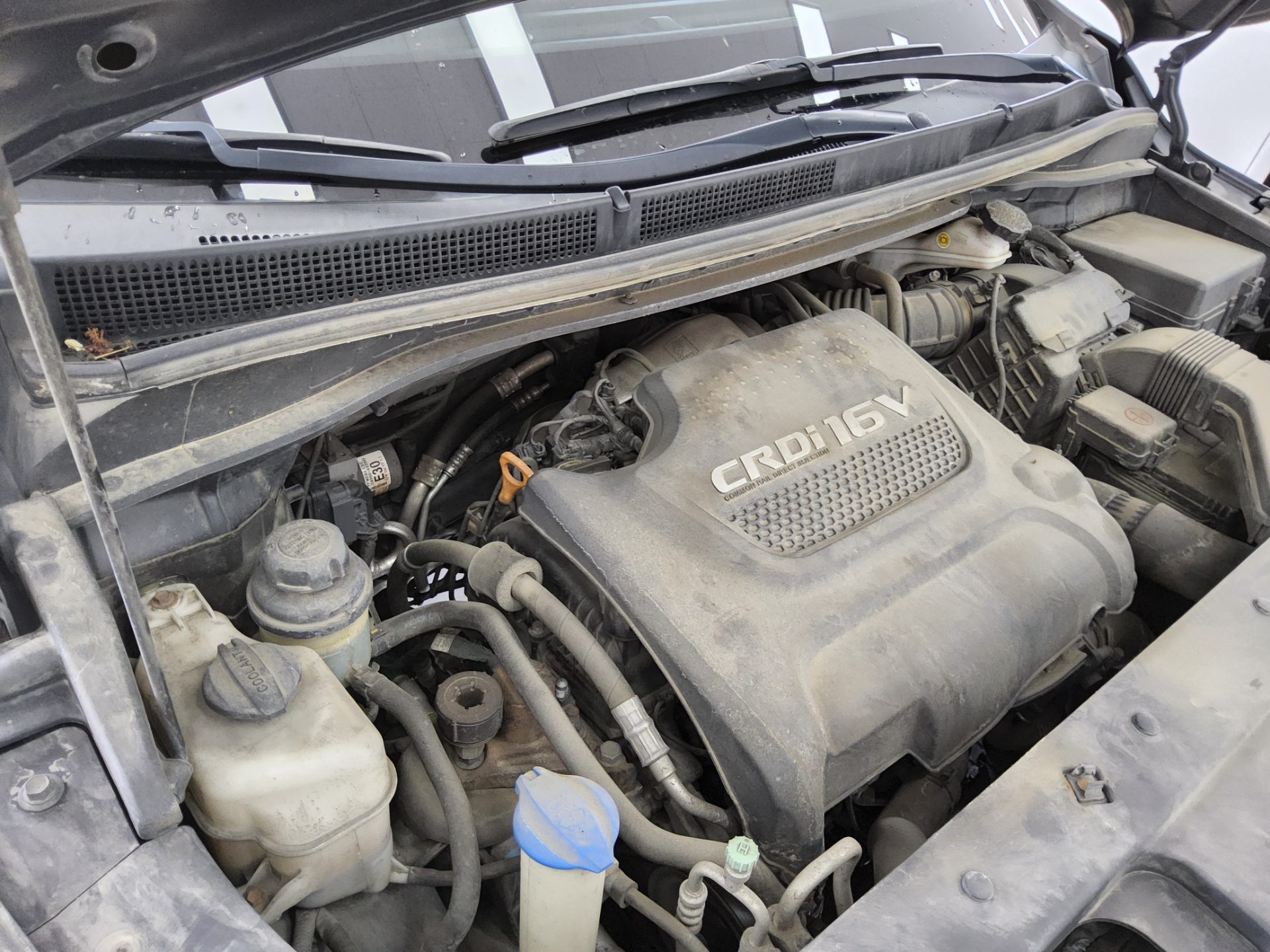 2015 - kia carnival