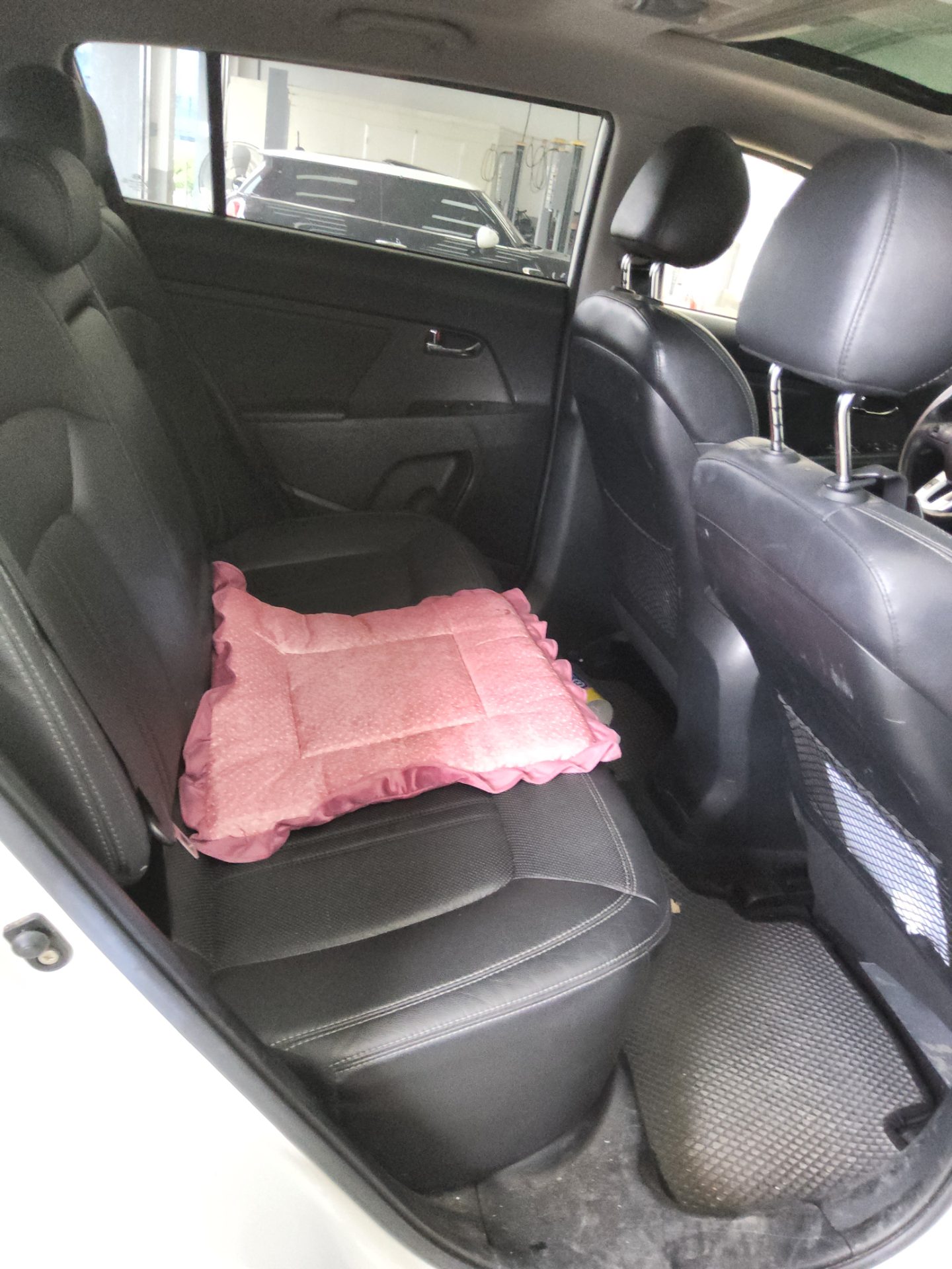 2011 - kia sportage