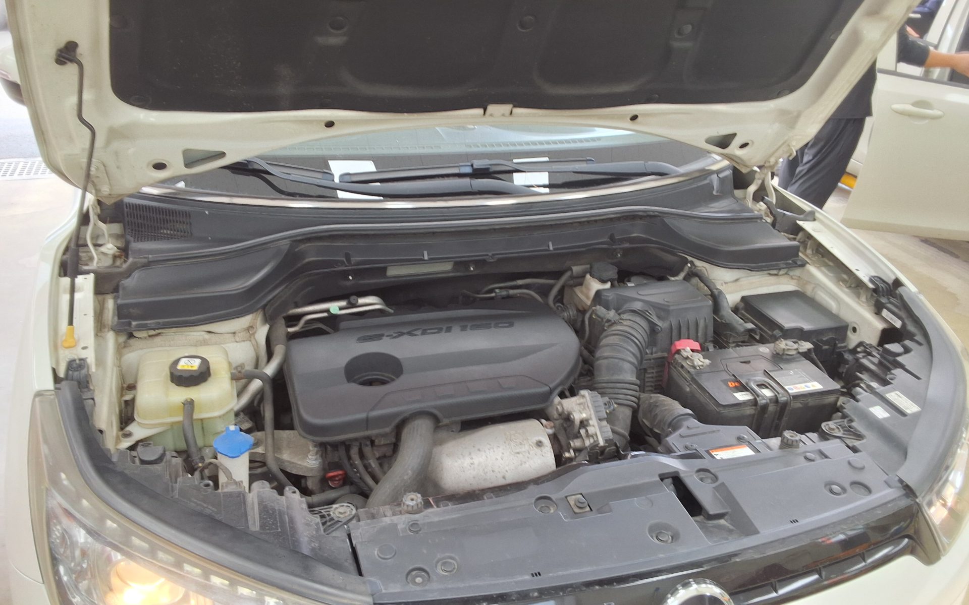 2016 - ssangyong tivoli