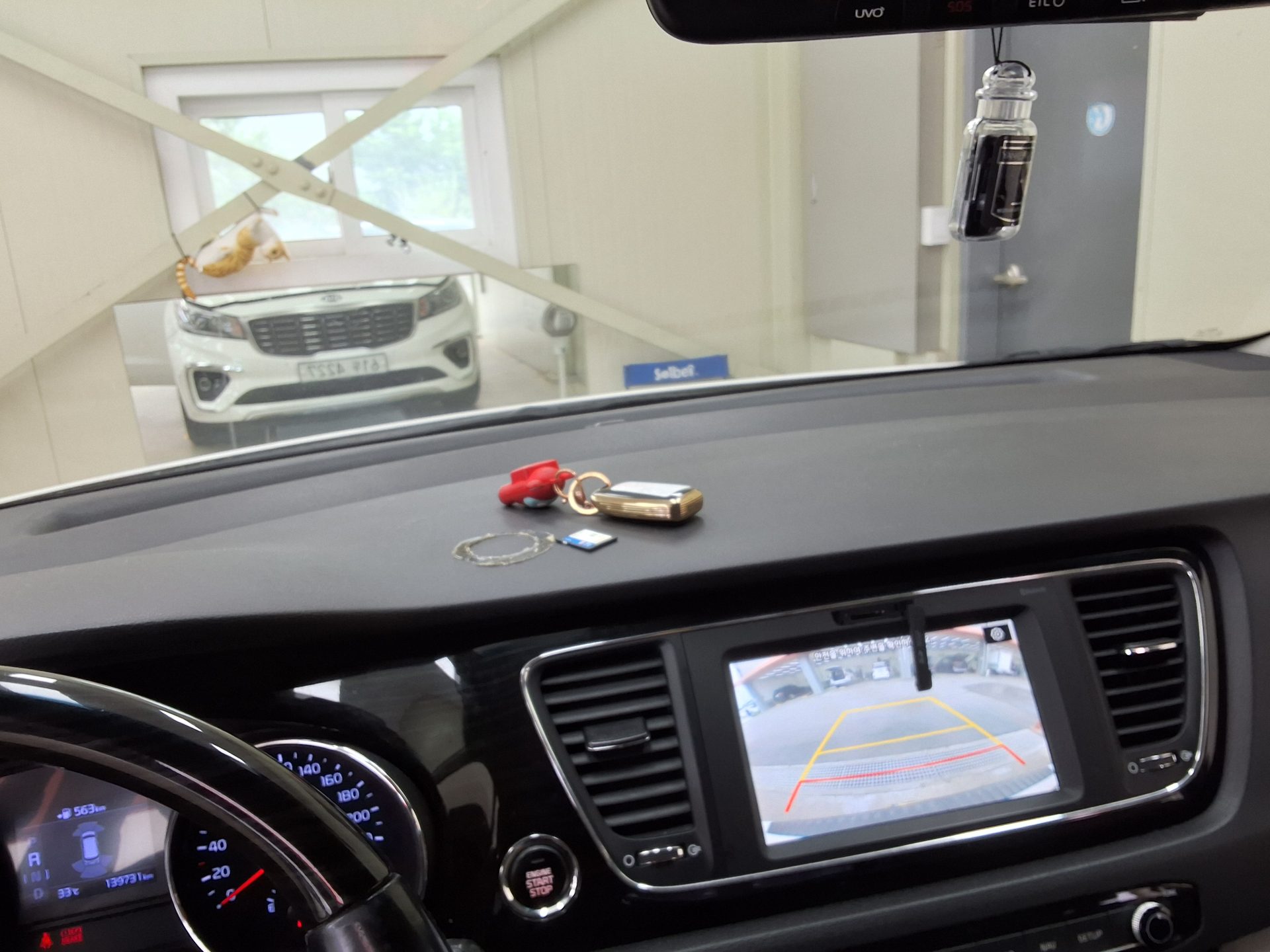 2019 - kia carnival