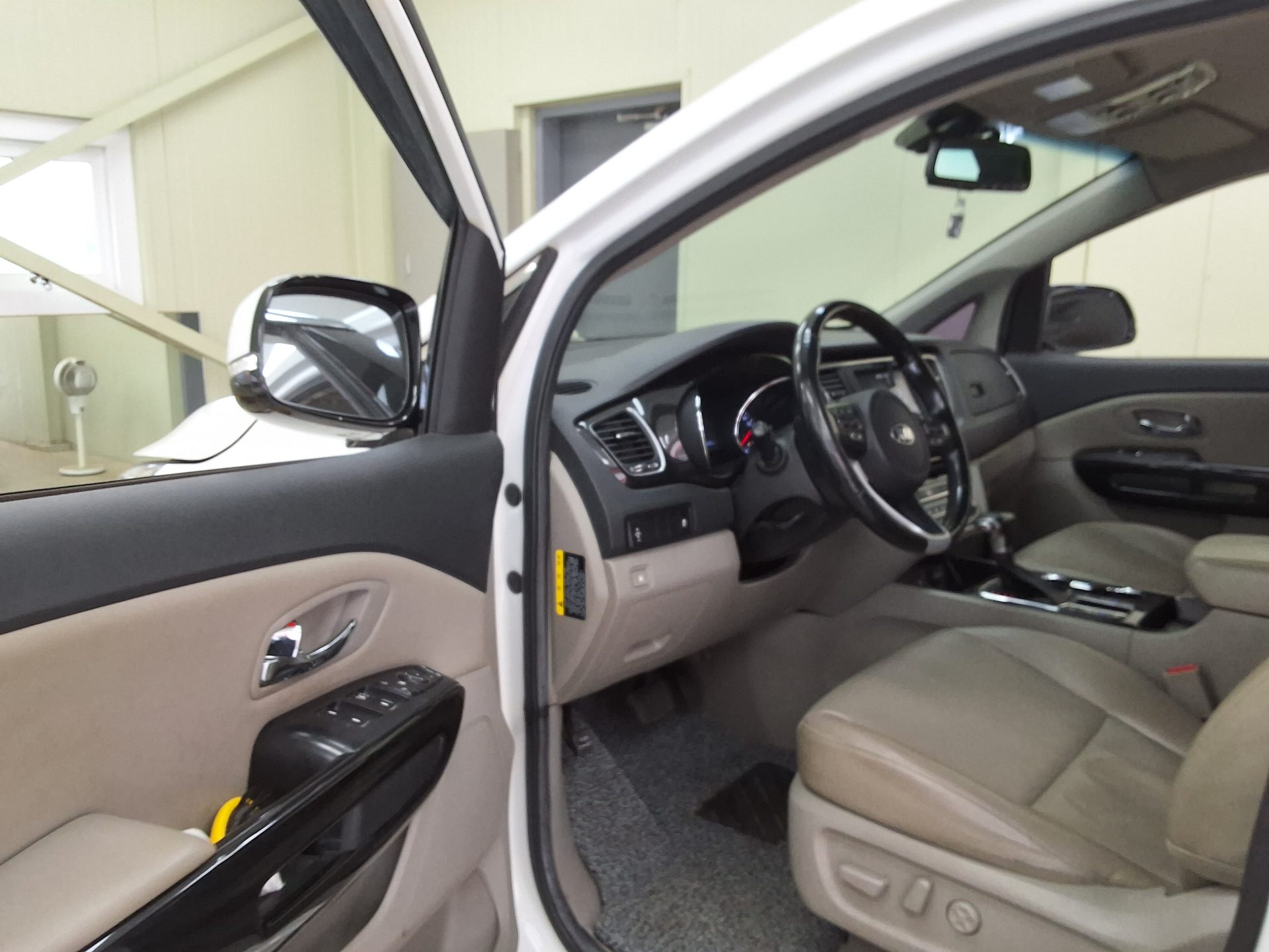 2019 - kia carnival