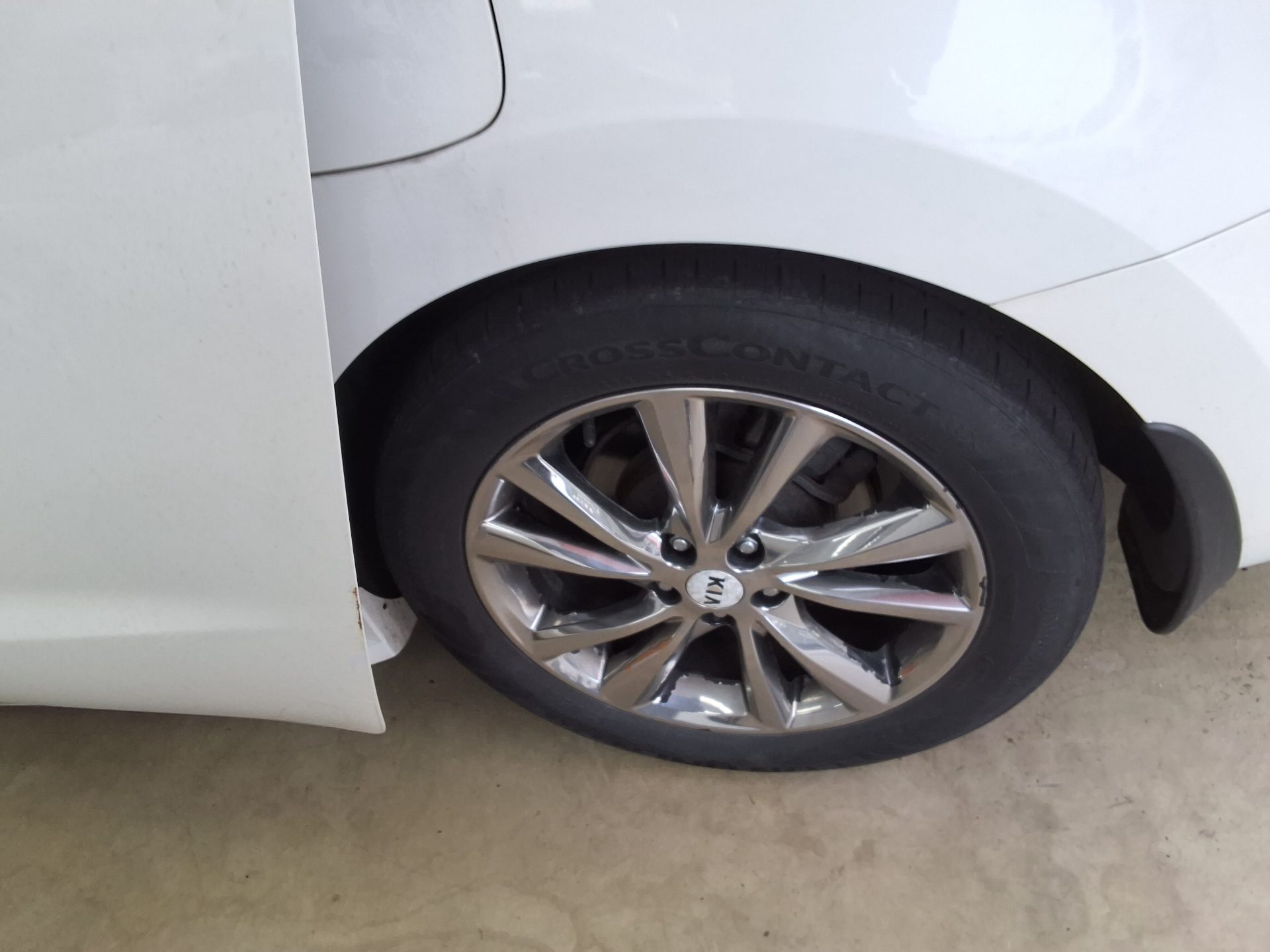 2019 - kia carnival