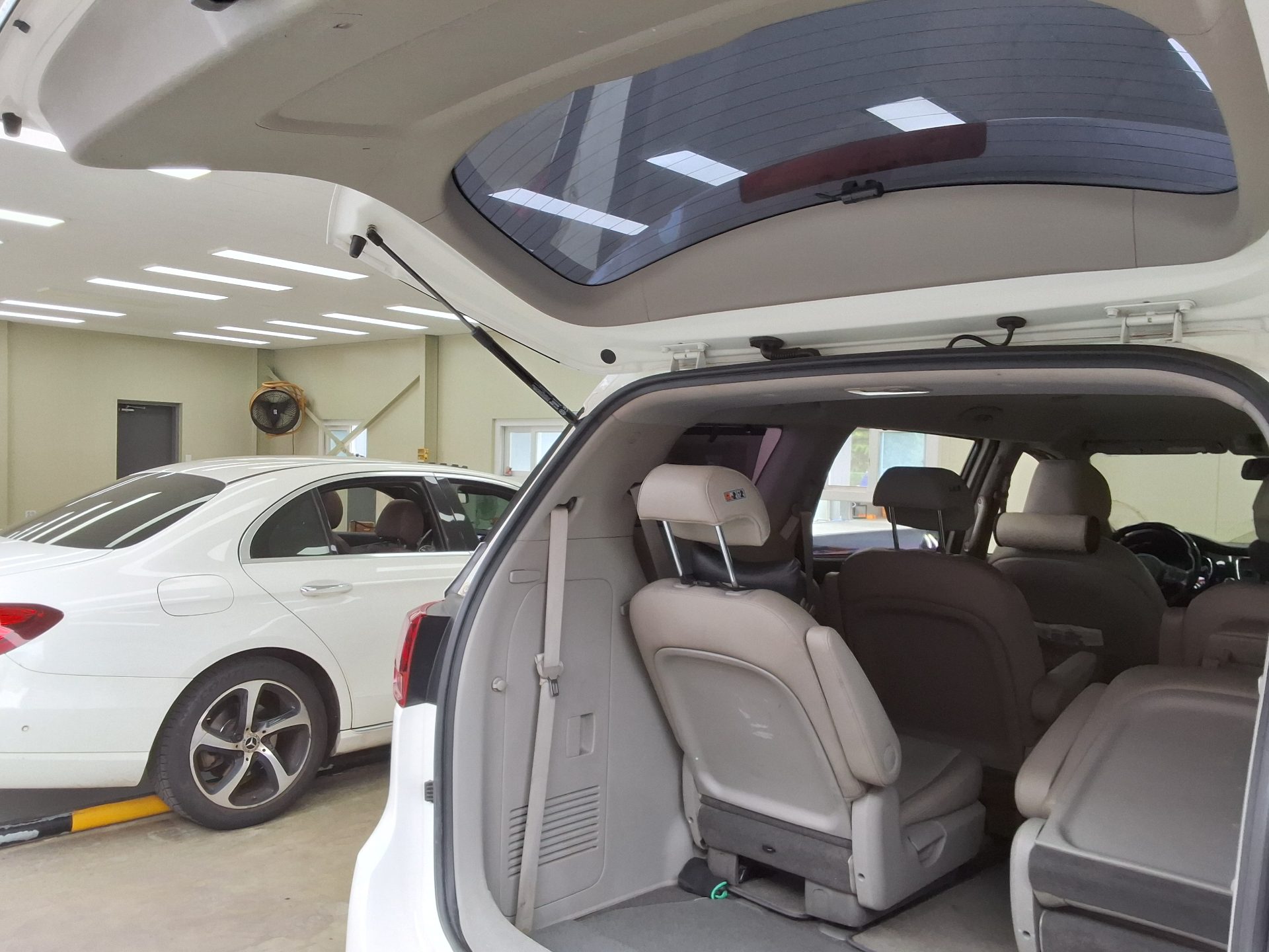 2019 - kia carnival