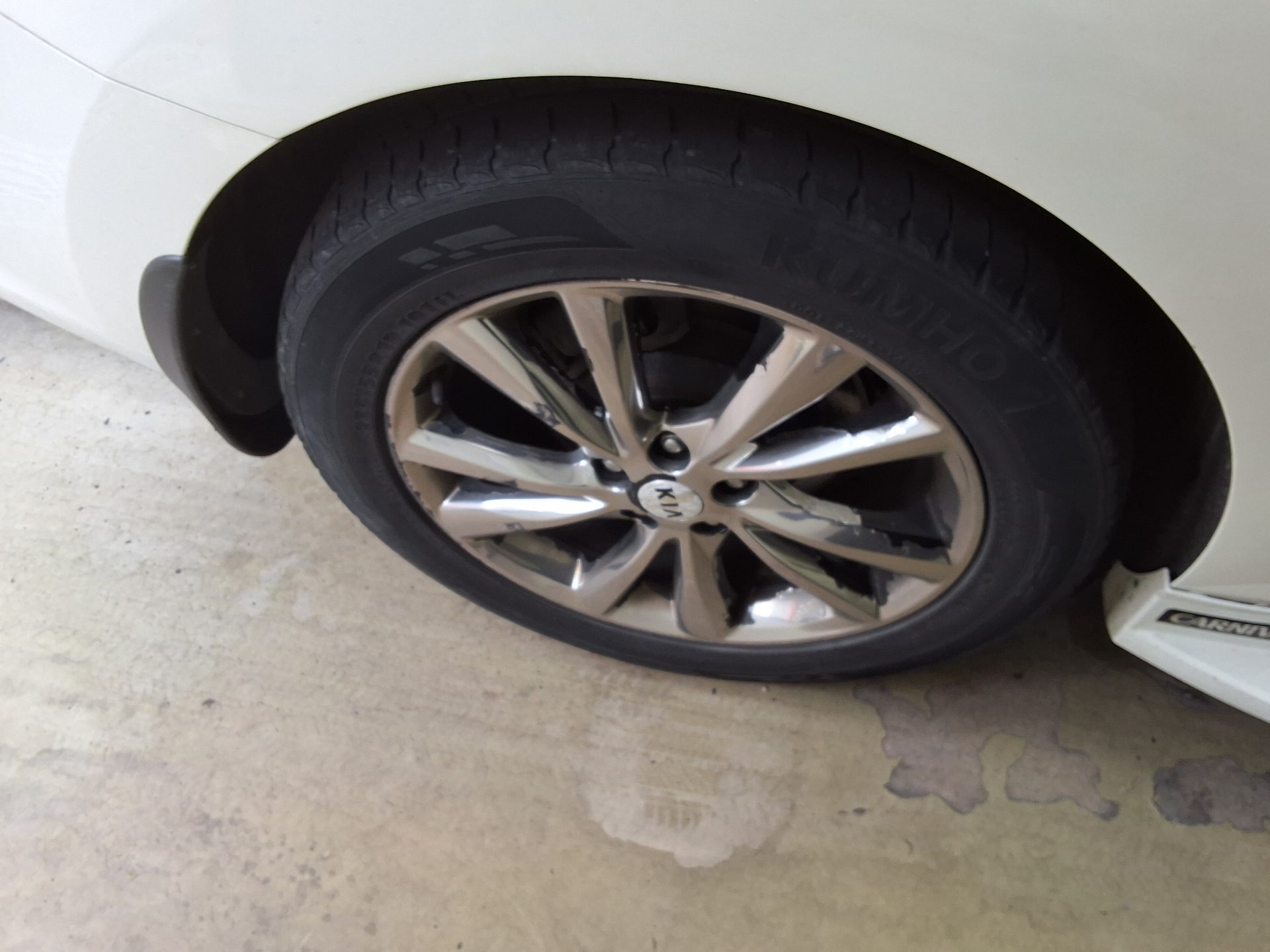 2019 - kia carnival