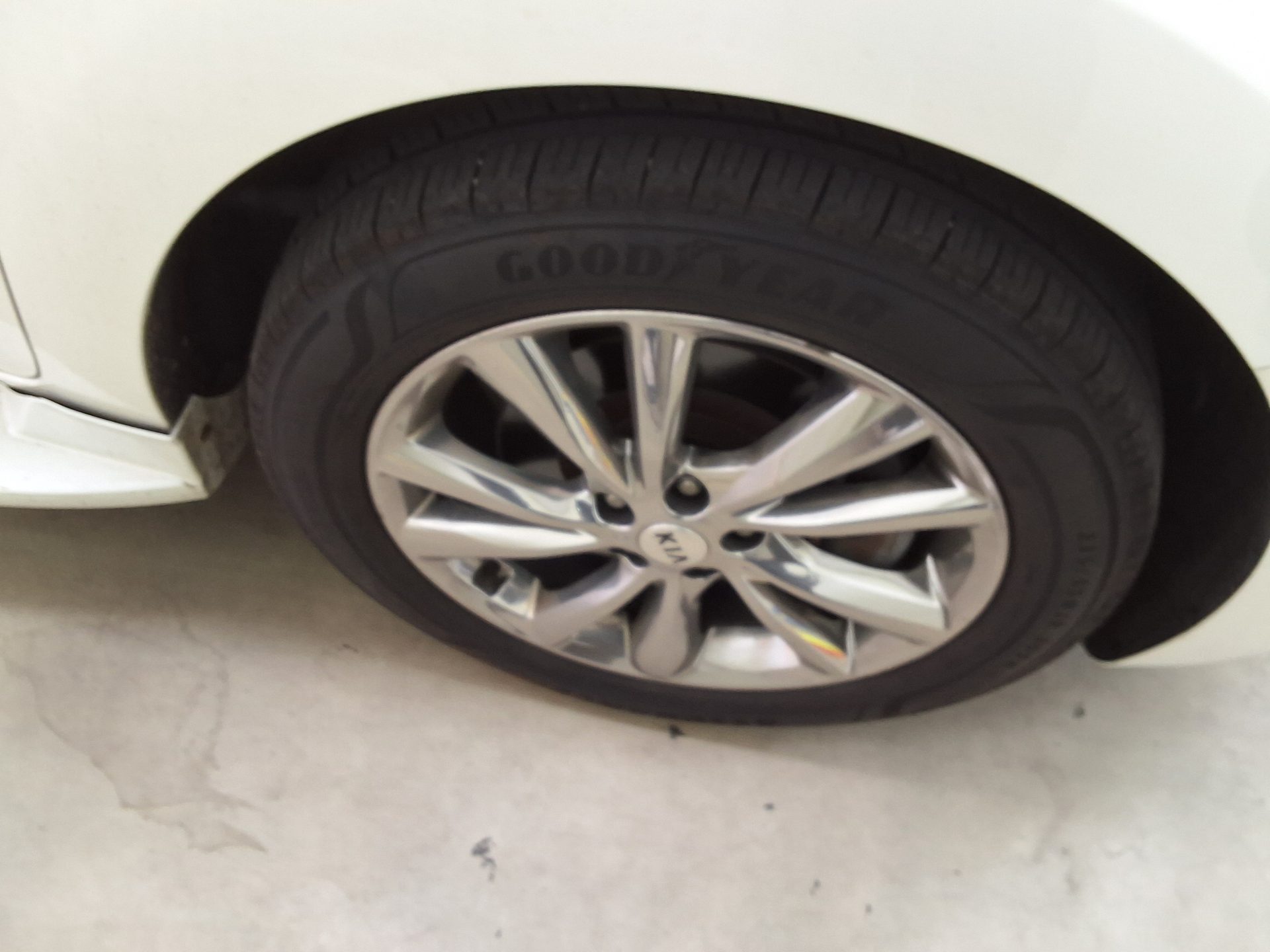 2019 - kia carnival