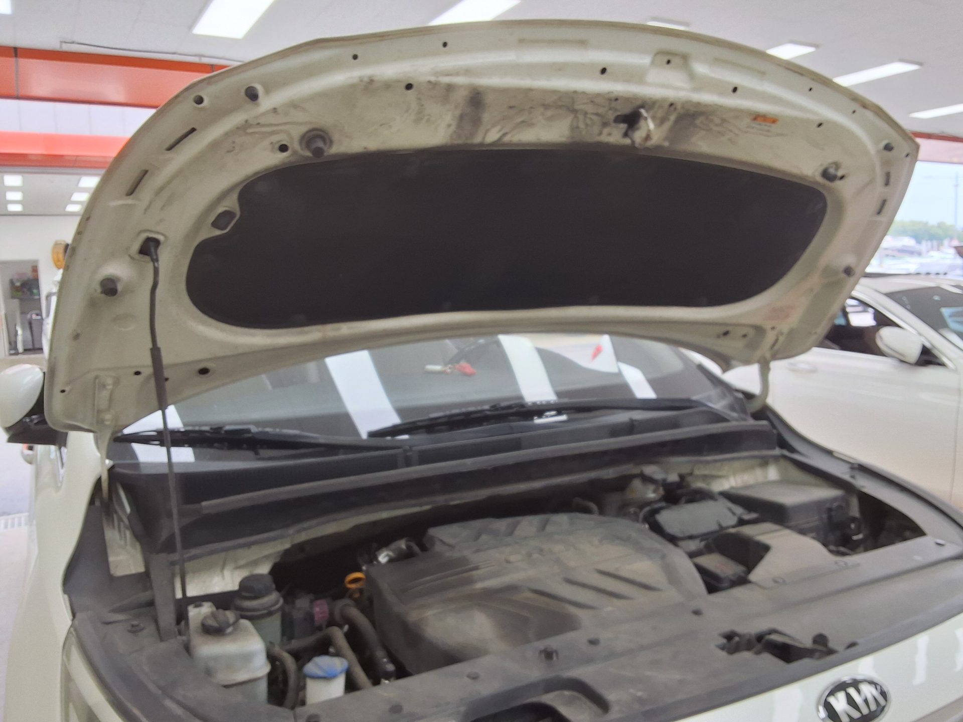 2019 - kia carnival