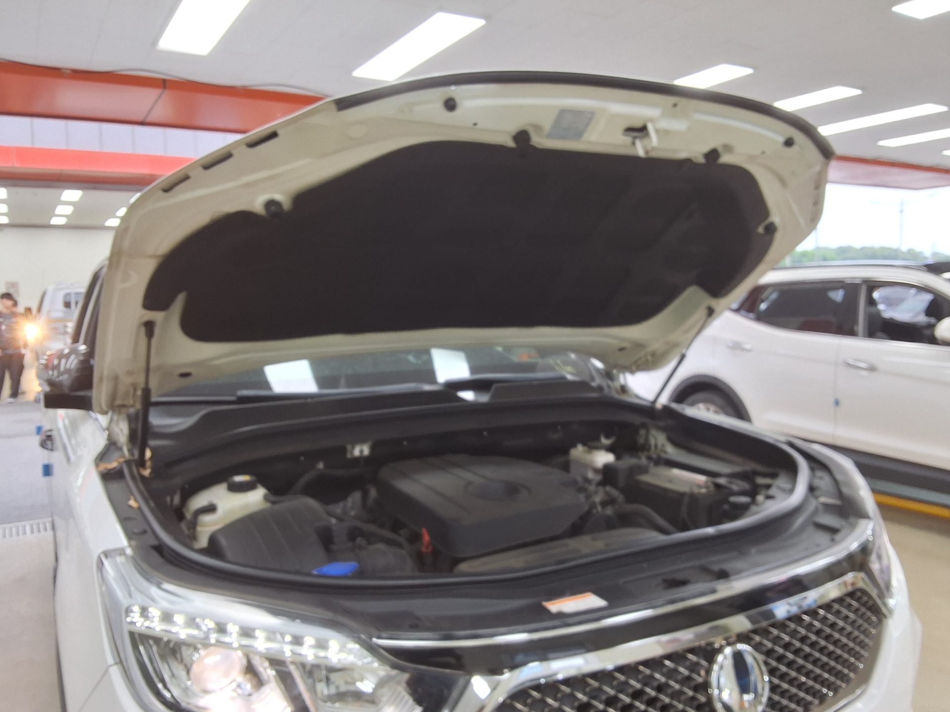 2019 - ssangyong rexton