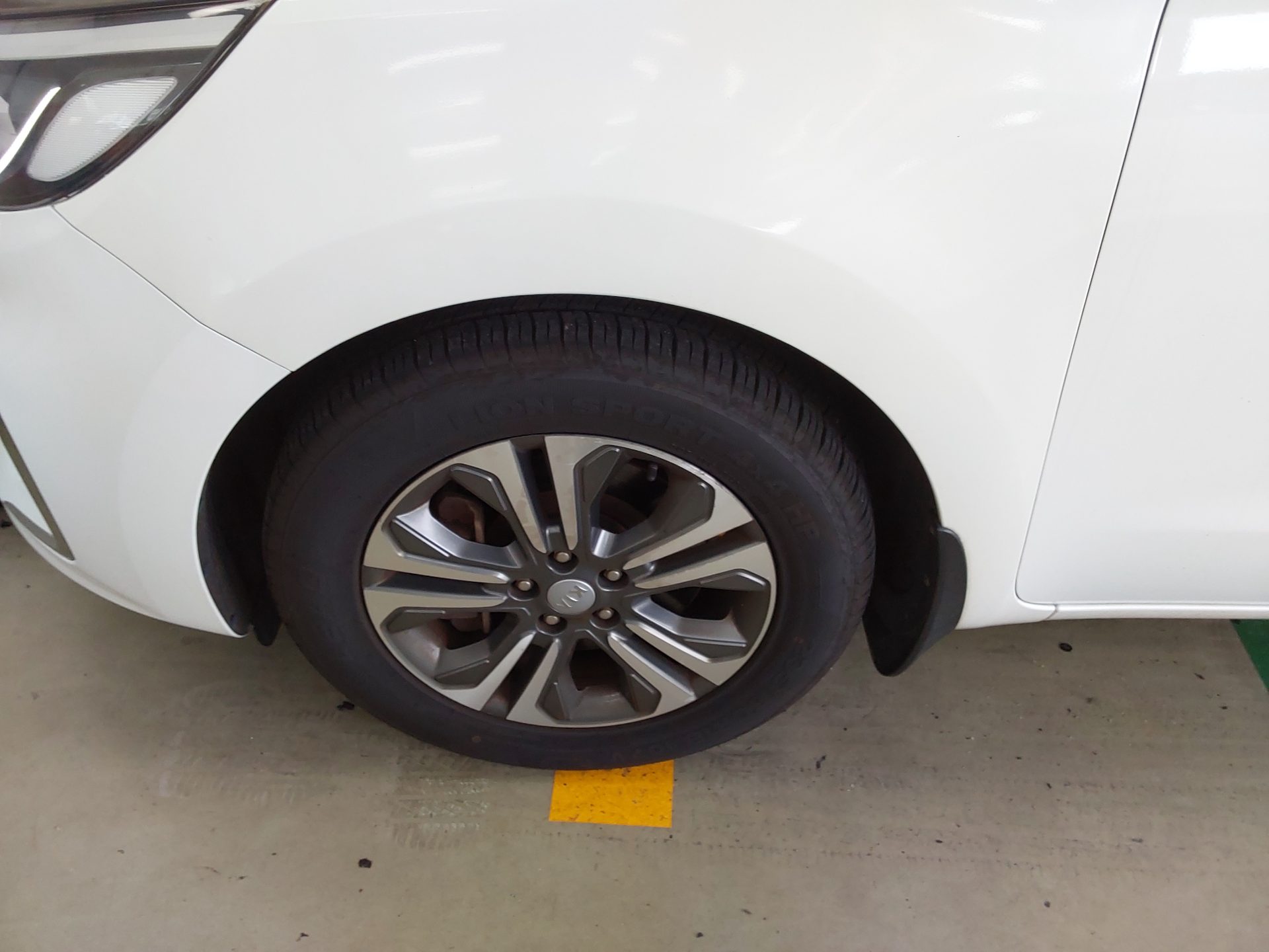 2019 - kia carnival