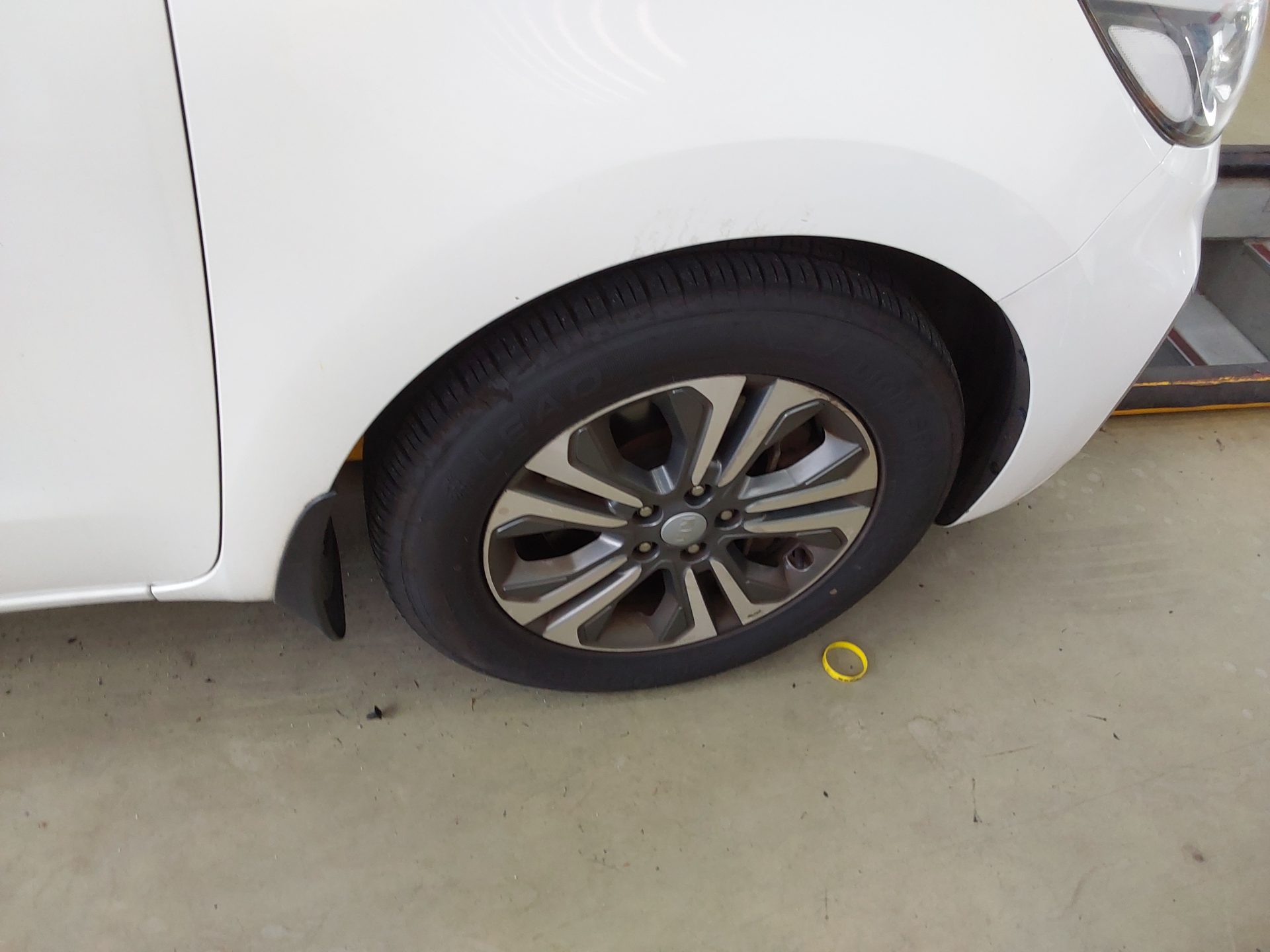 2019 - kia carnival
