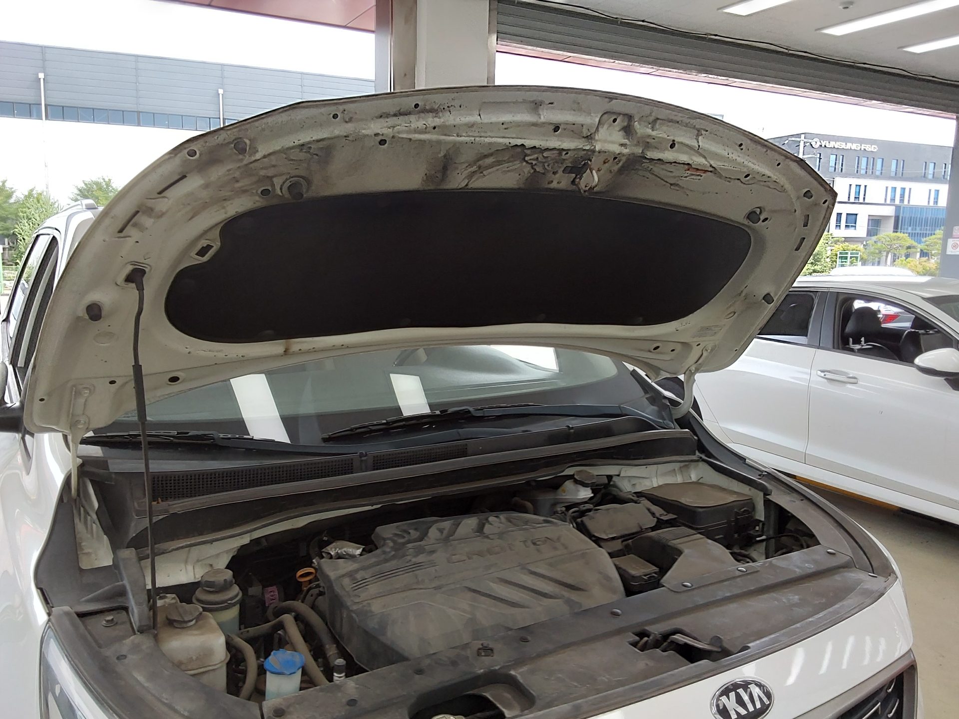 2019 - kia carnival