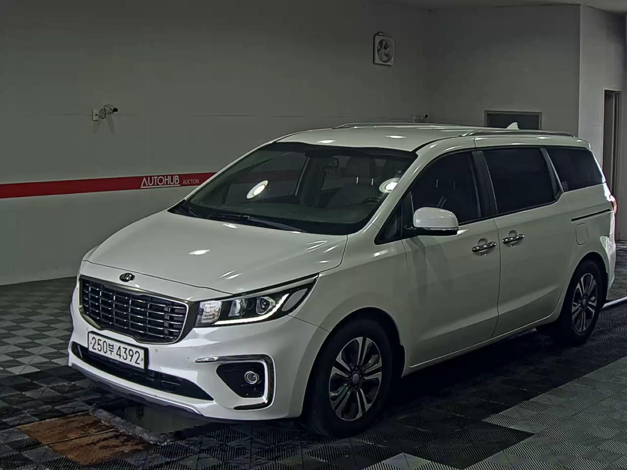 2019 - kia carnival