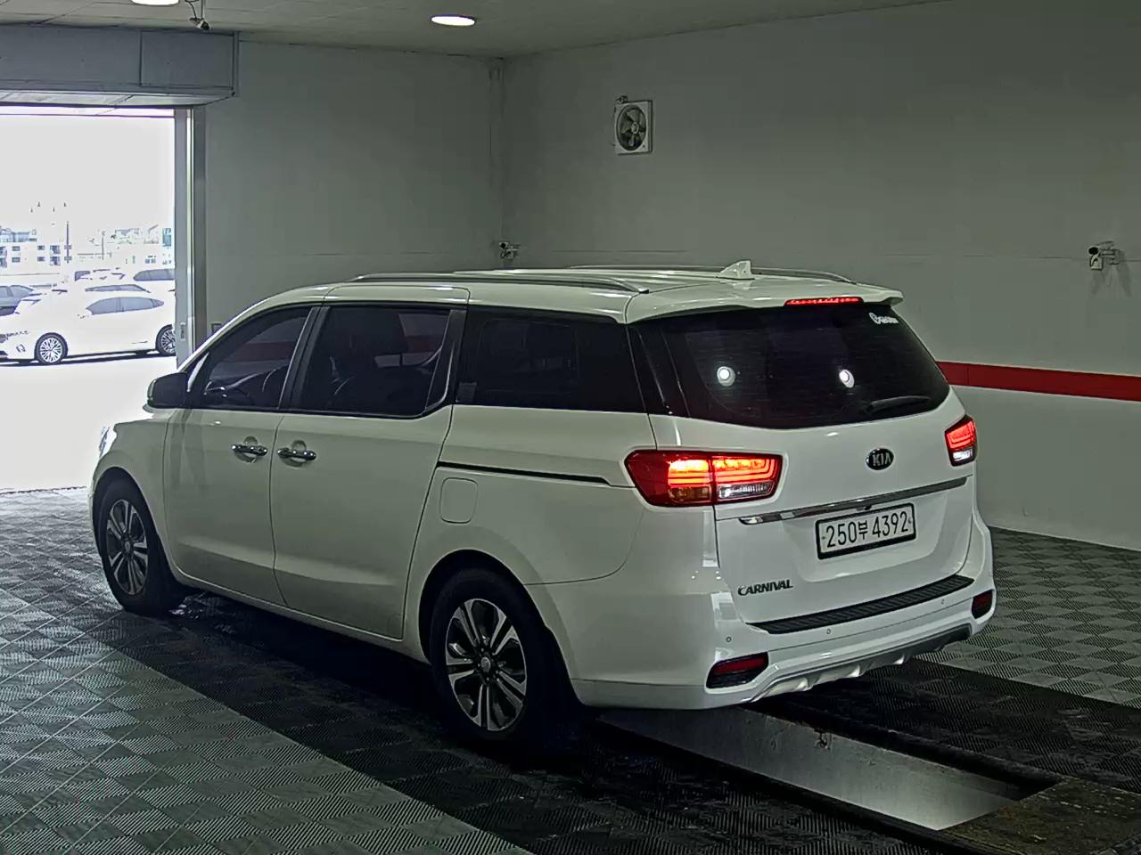 2019 - kia carnival
