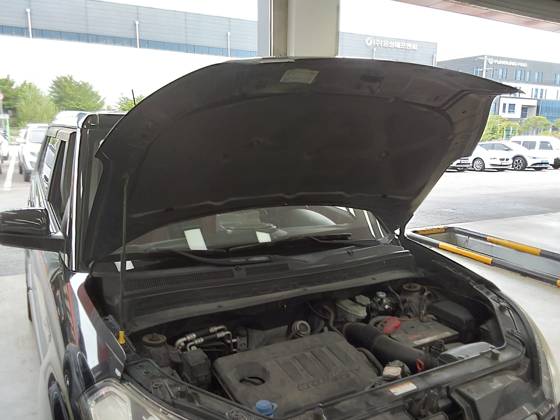 2010 - kia soul