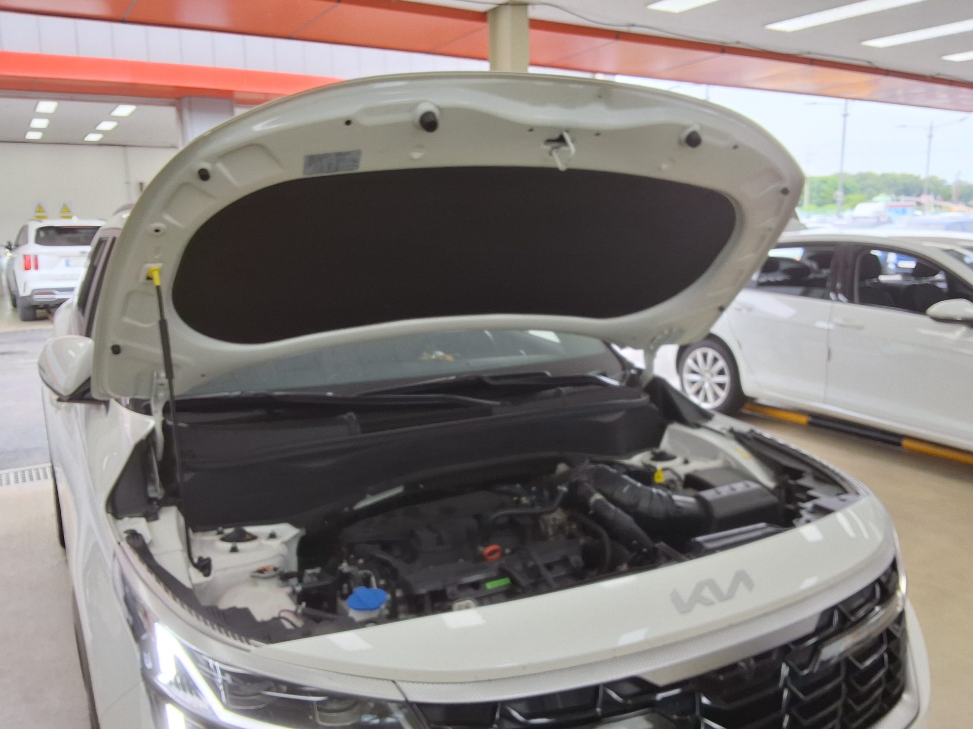 2023 - kia seltos