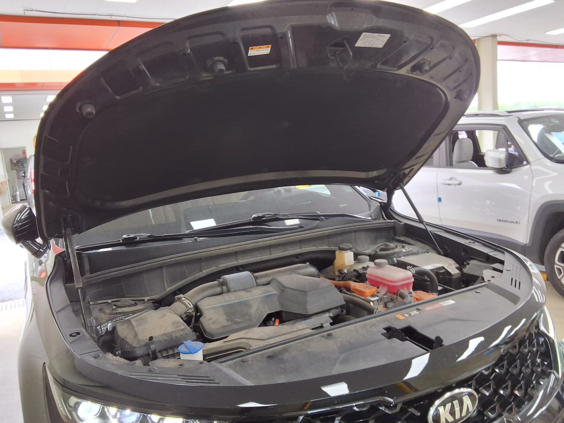 2021 - kia sorento