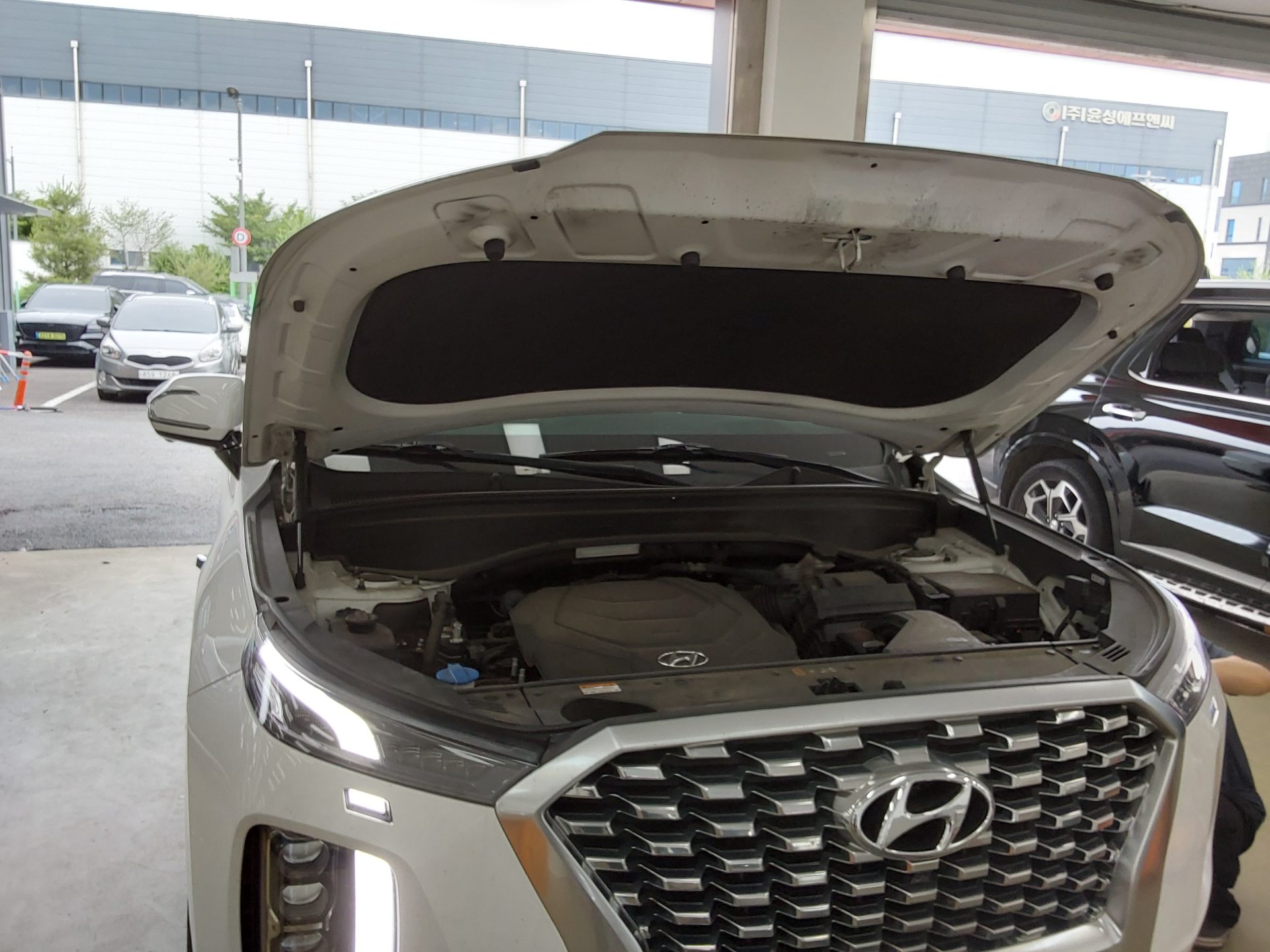 2021 - hyundai palisade