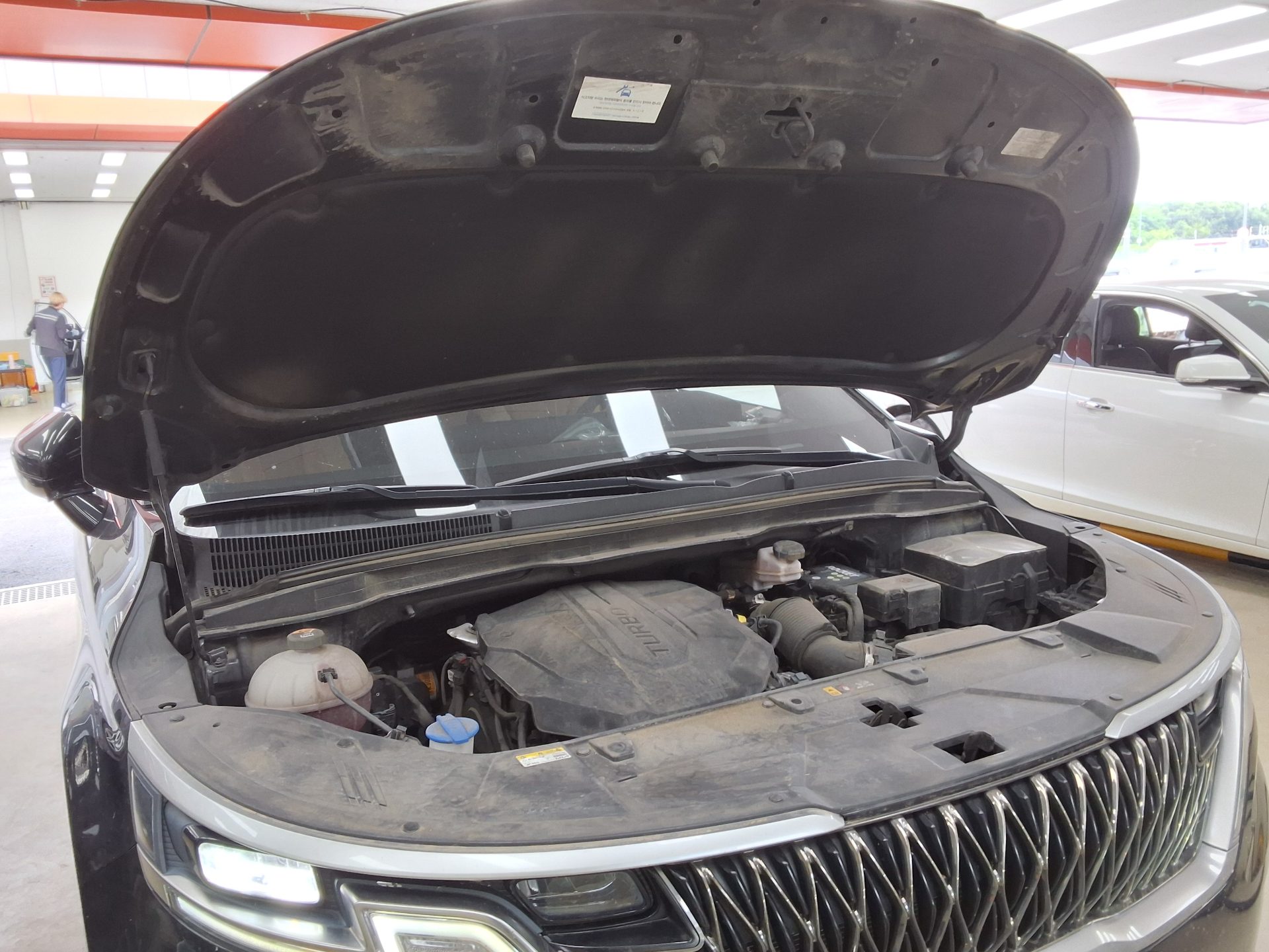 2023 - kia carnival